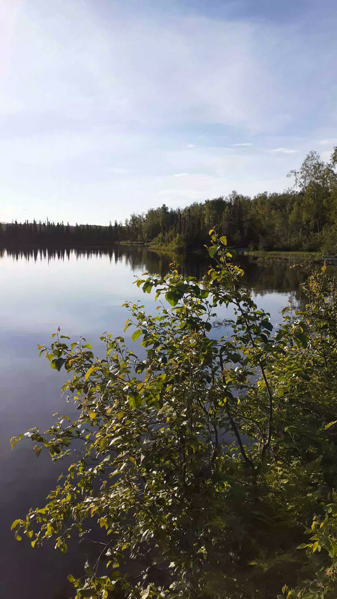 Nancy Lake State Recreation Area