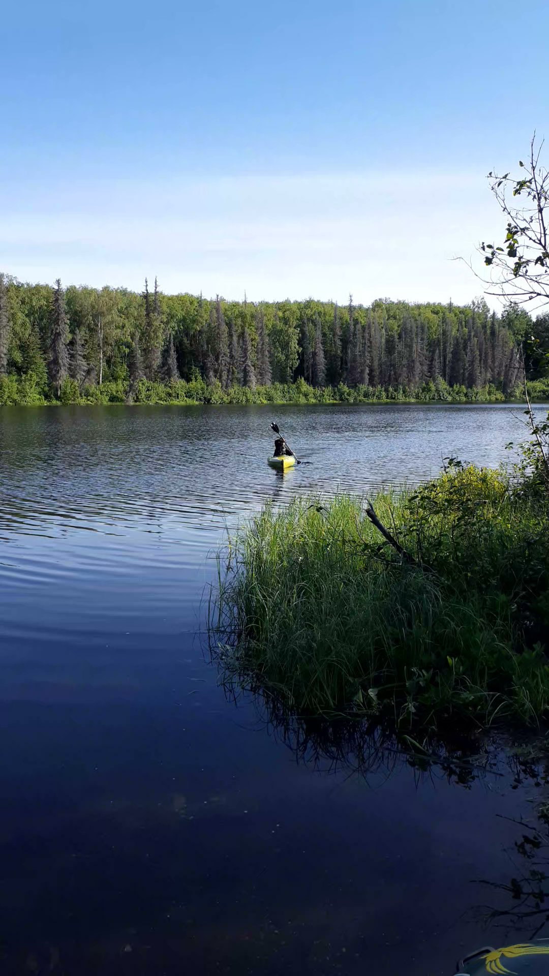 Nancy Lake State Recreation Area