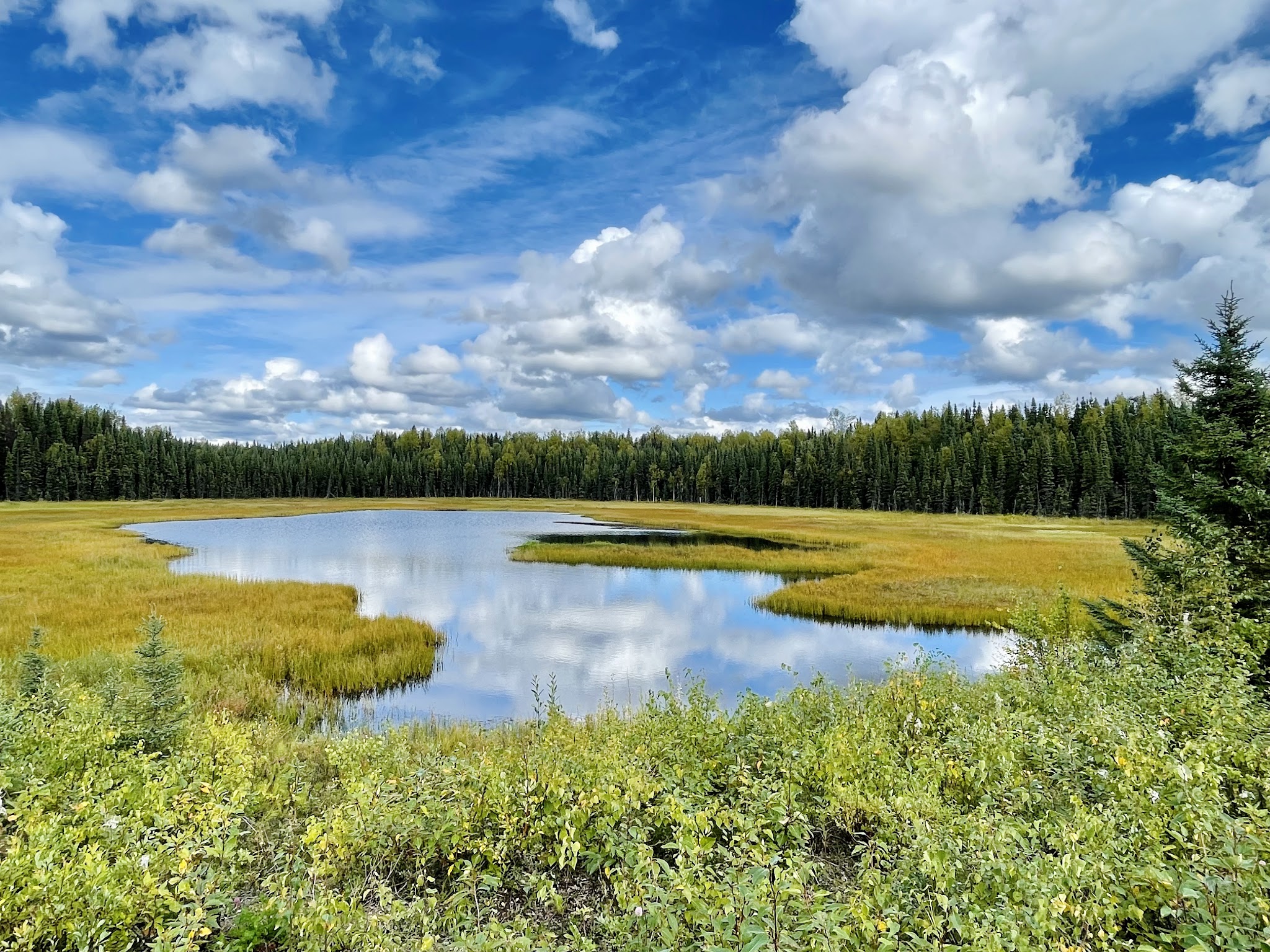 Nancy Lake State Recreation Area