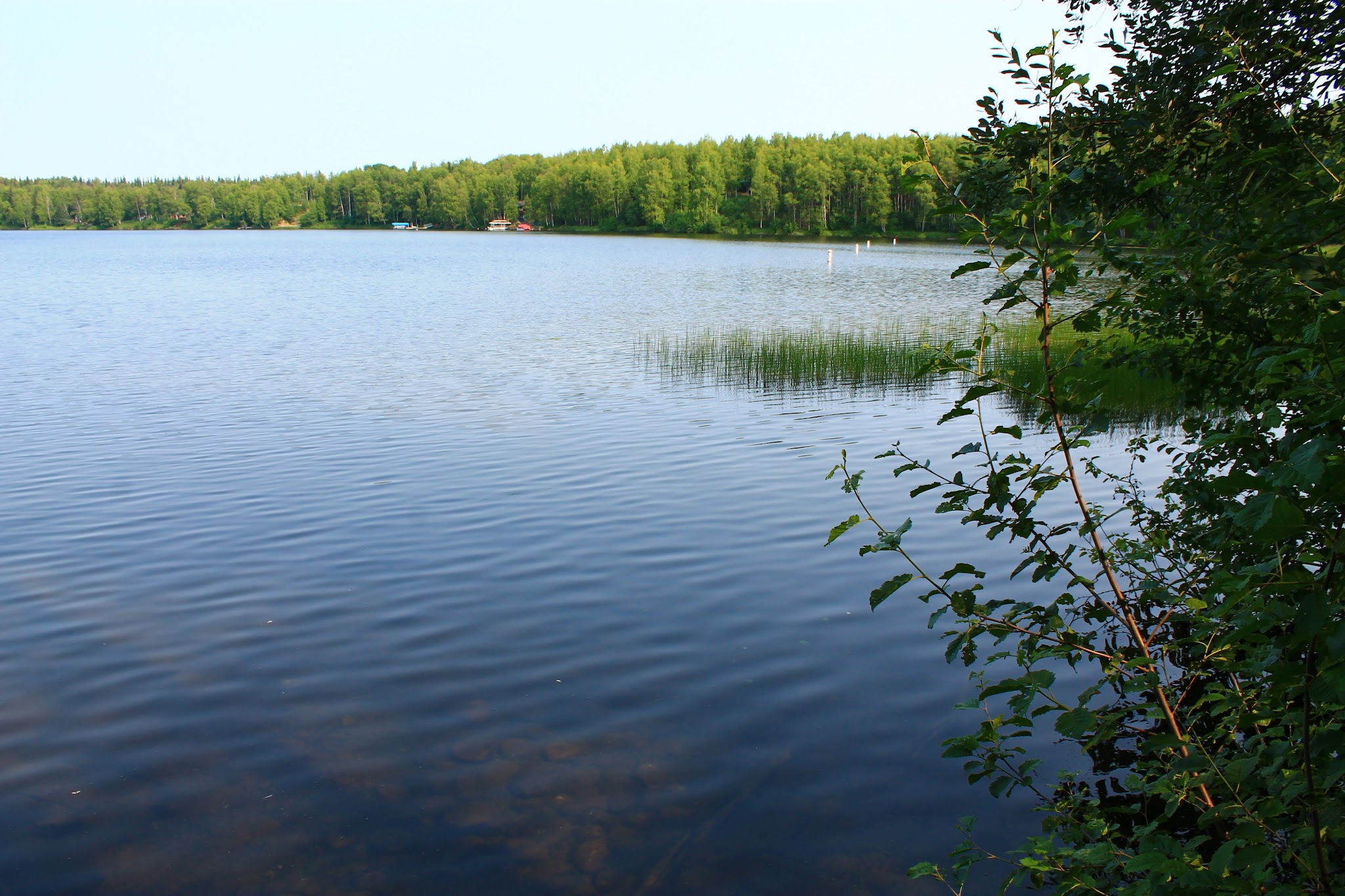 Nancy Lake State Recreation Site