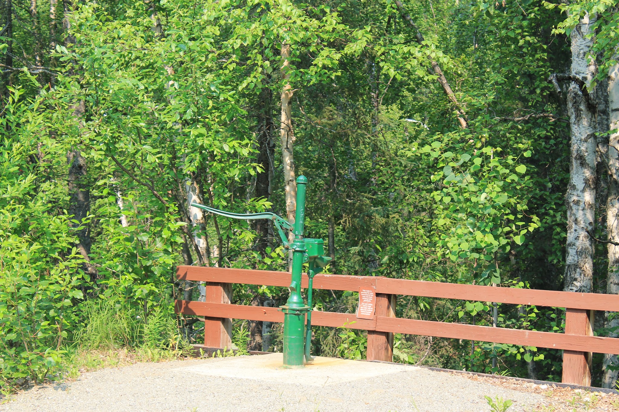 Nancy Lake State Recreation Site