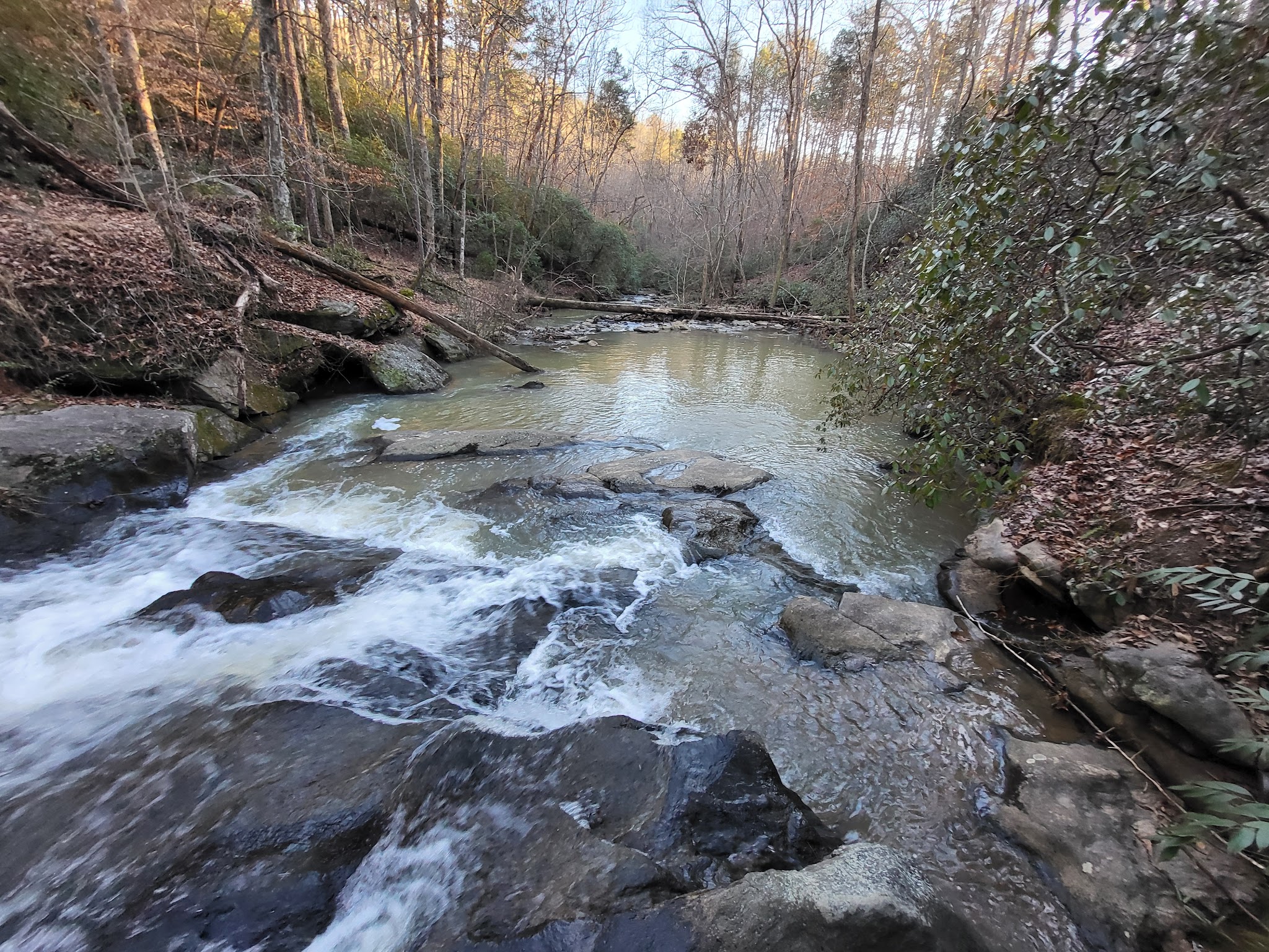 Fern Springs Day Use Picnic Area