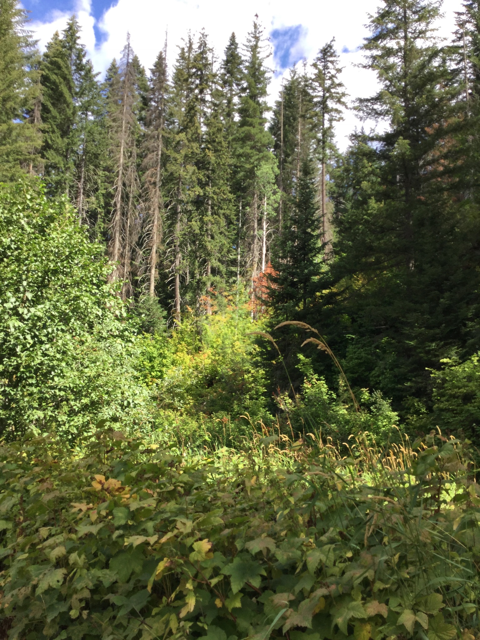 Napeequa Crossing Campground