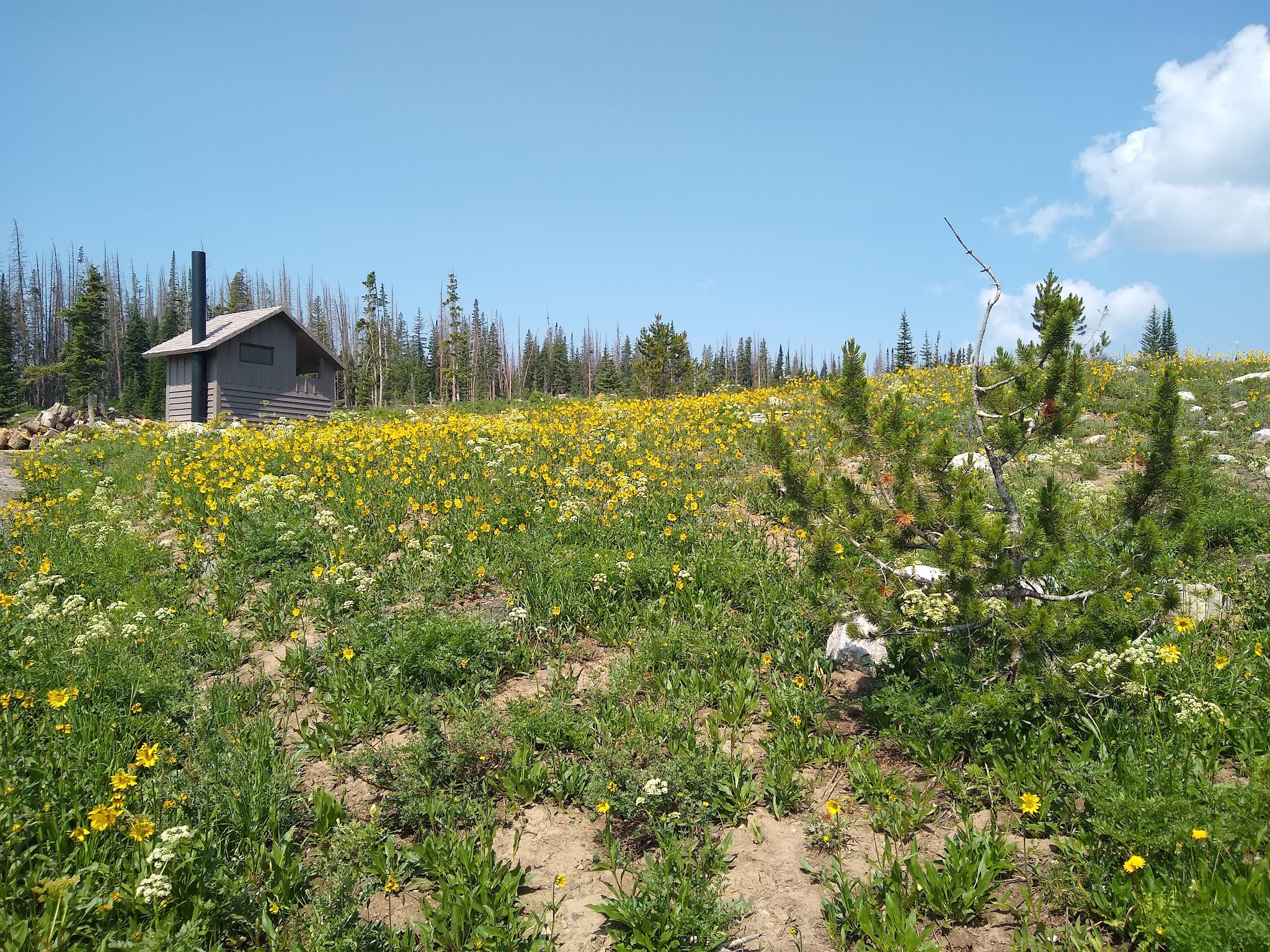 Nash Fork Campground