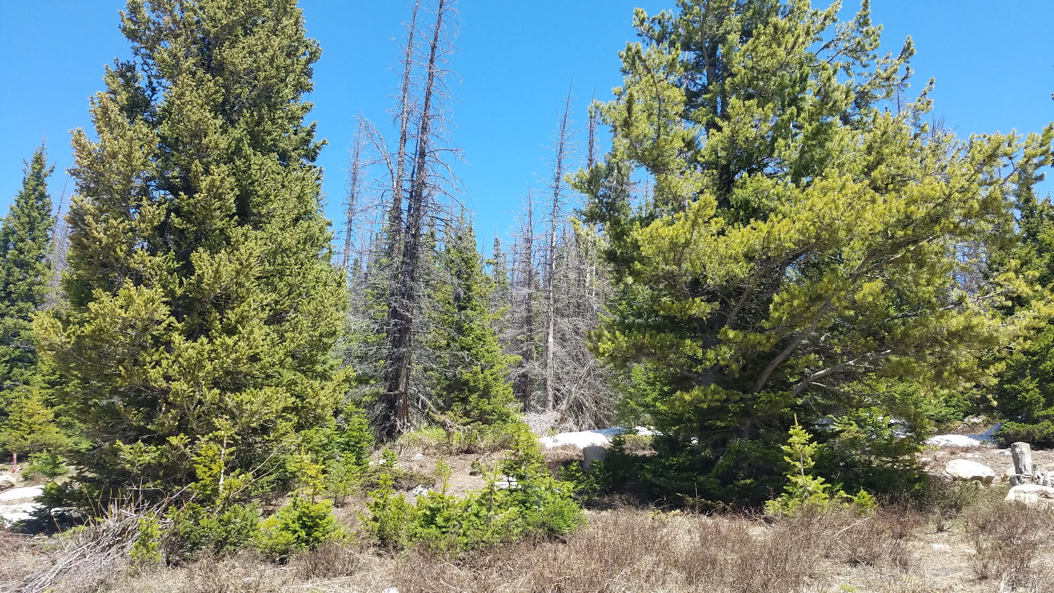 Nash Fork Campground