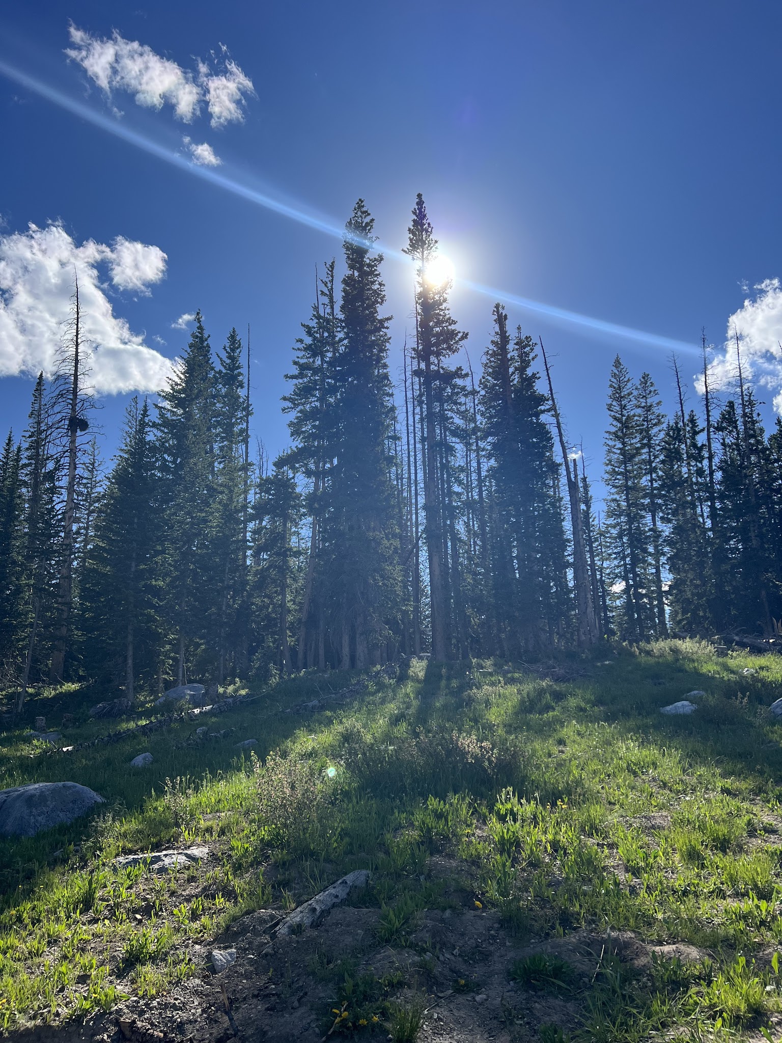 Nash Fork Campground