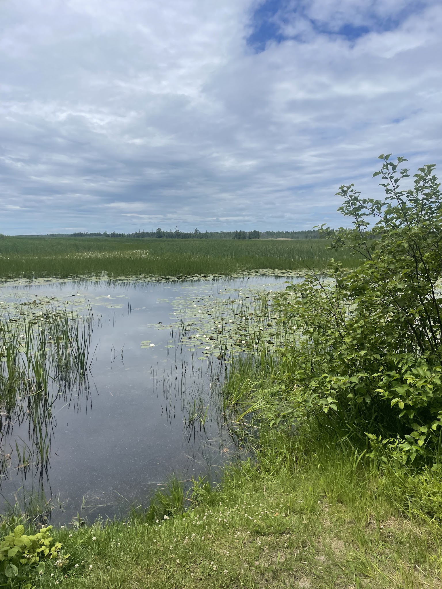 Natalie State Forest Campground