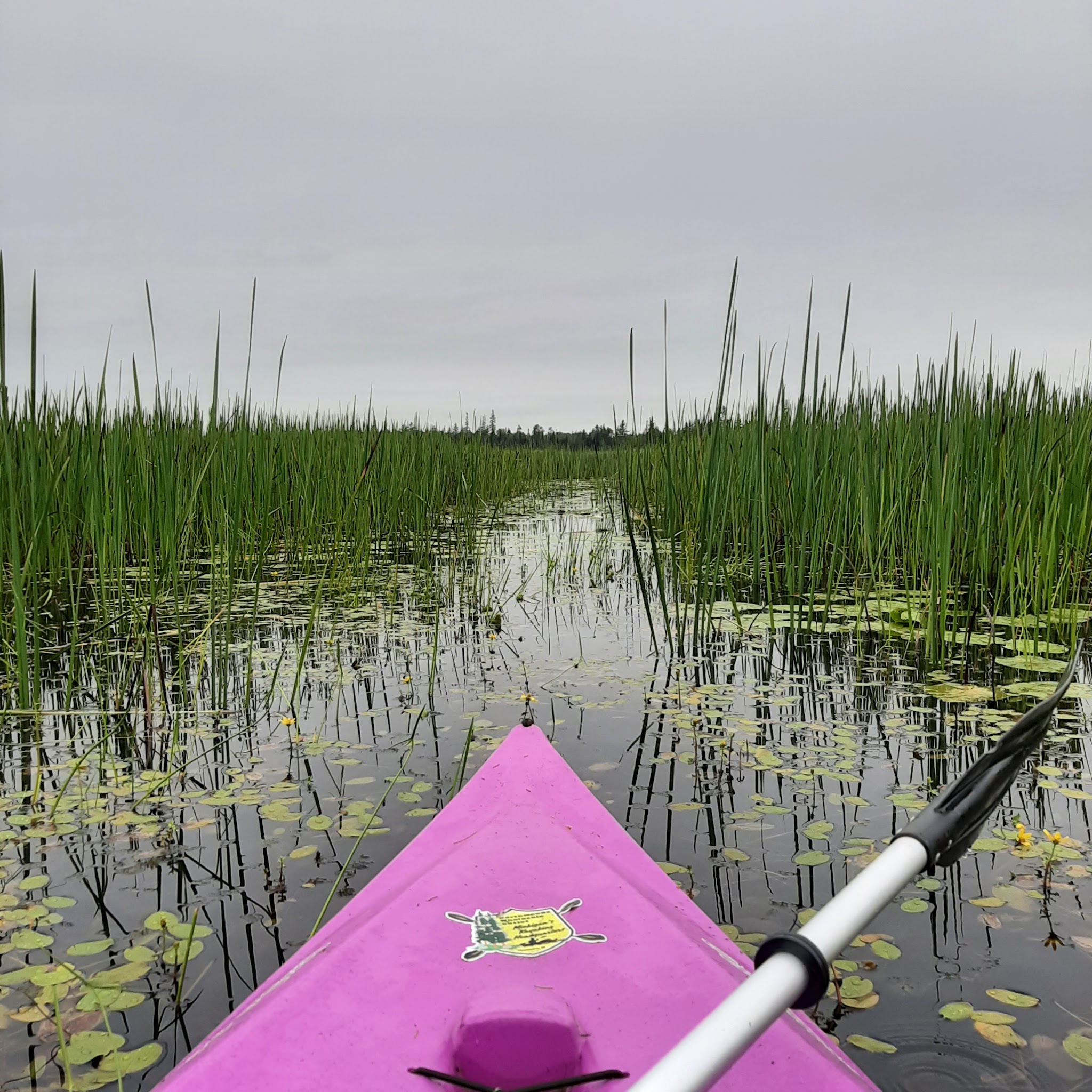 Natalie State Forest Campground