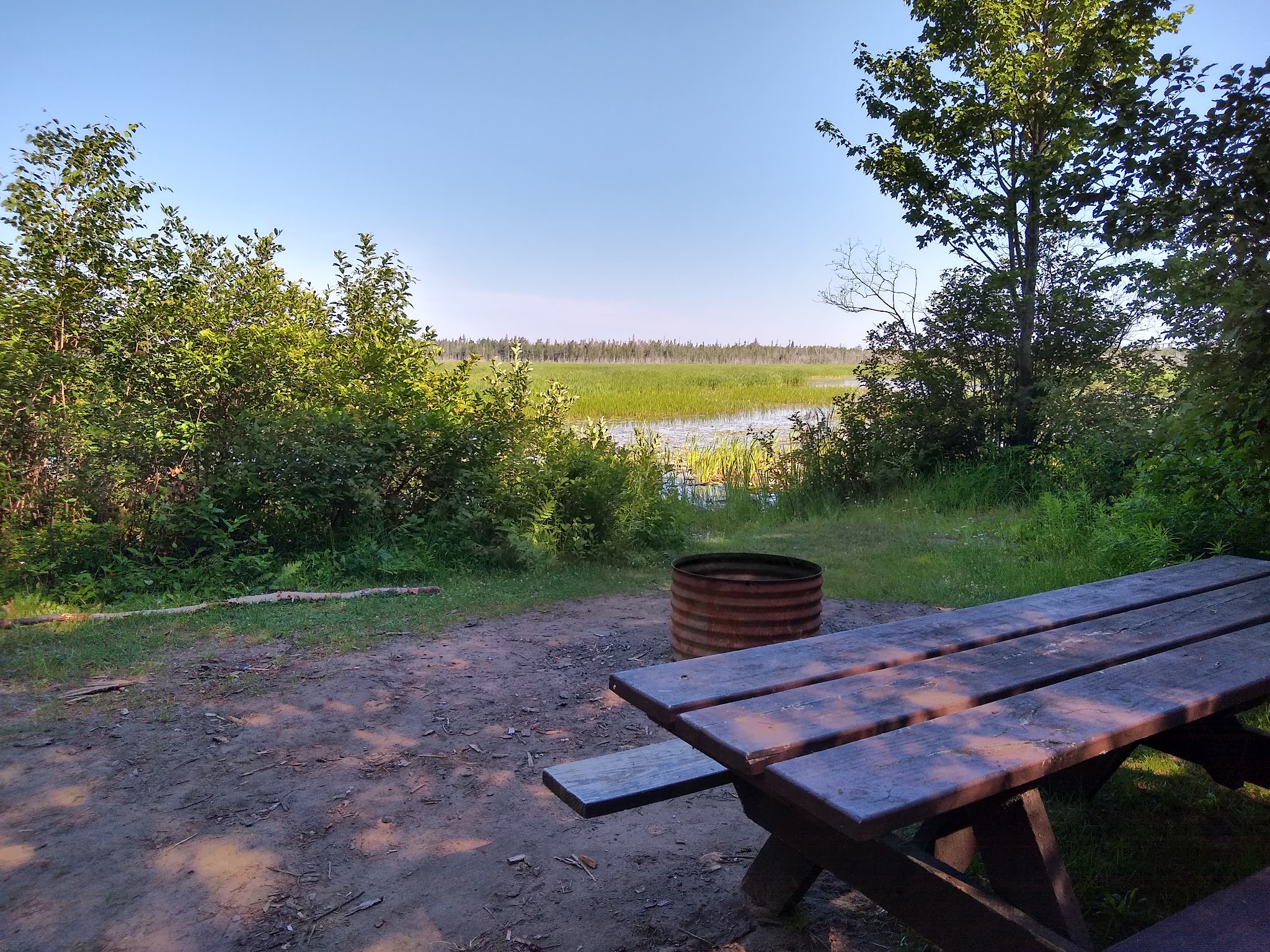 Natalie State Forest Campground