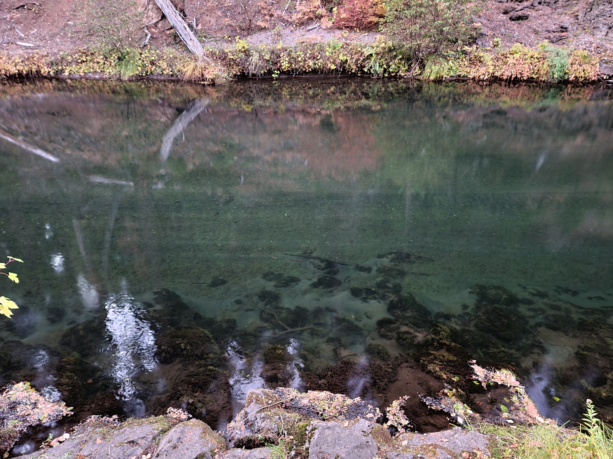 Natural Bridge Campground