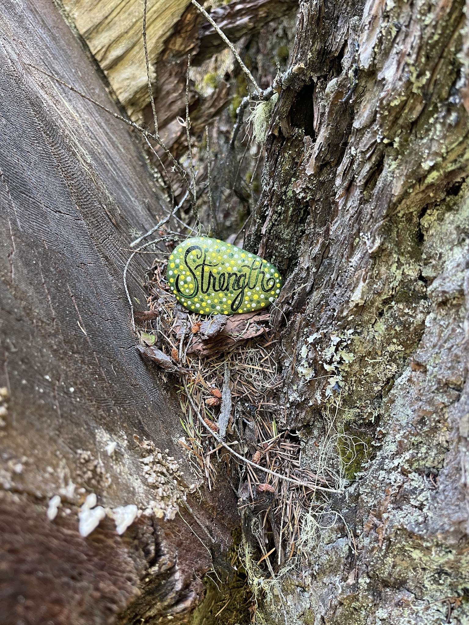 Natural Bridge Campground
