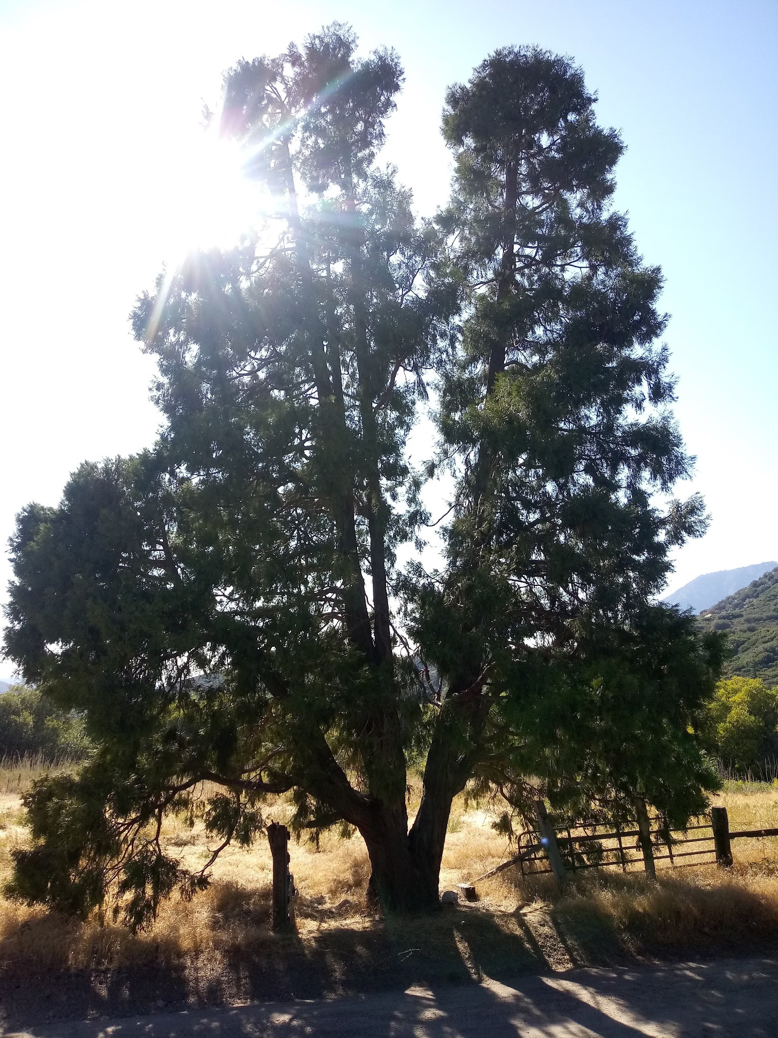 Clark'S Ranch Yellow Post Site