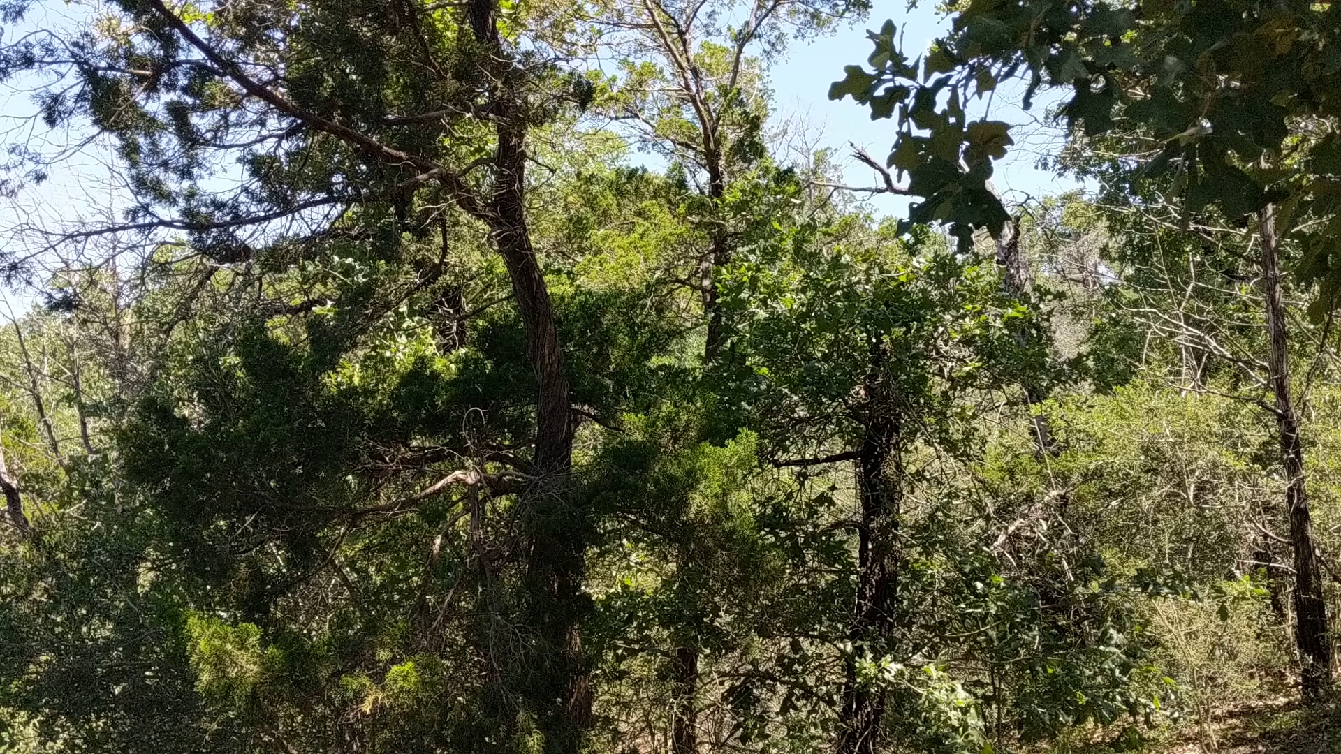 Mckinney Roughs Nature Park