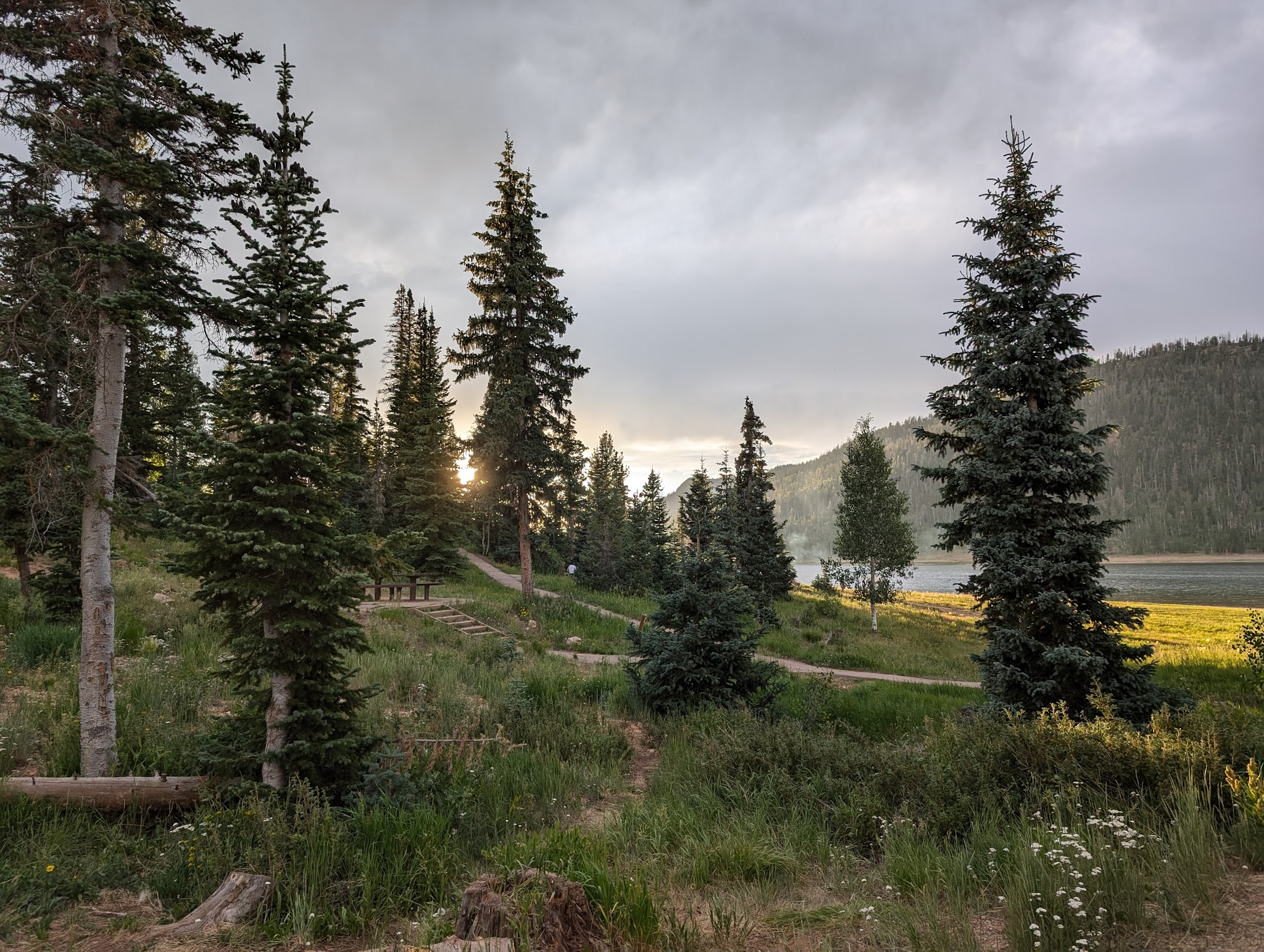 Navajo Lake Campground