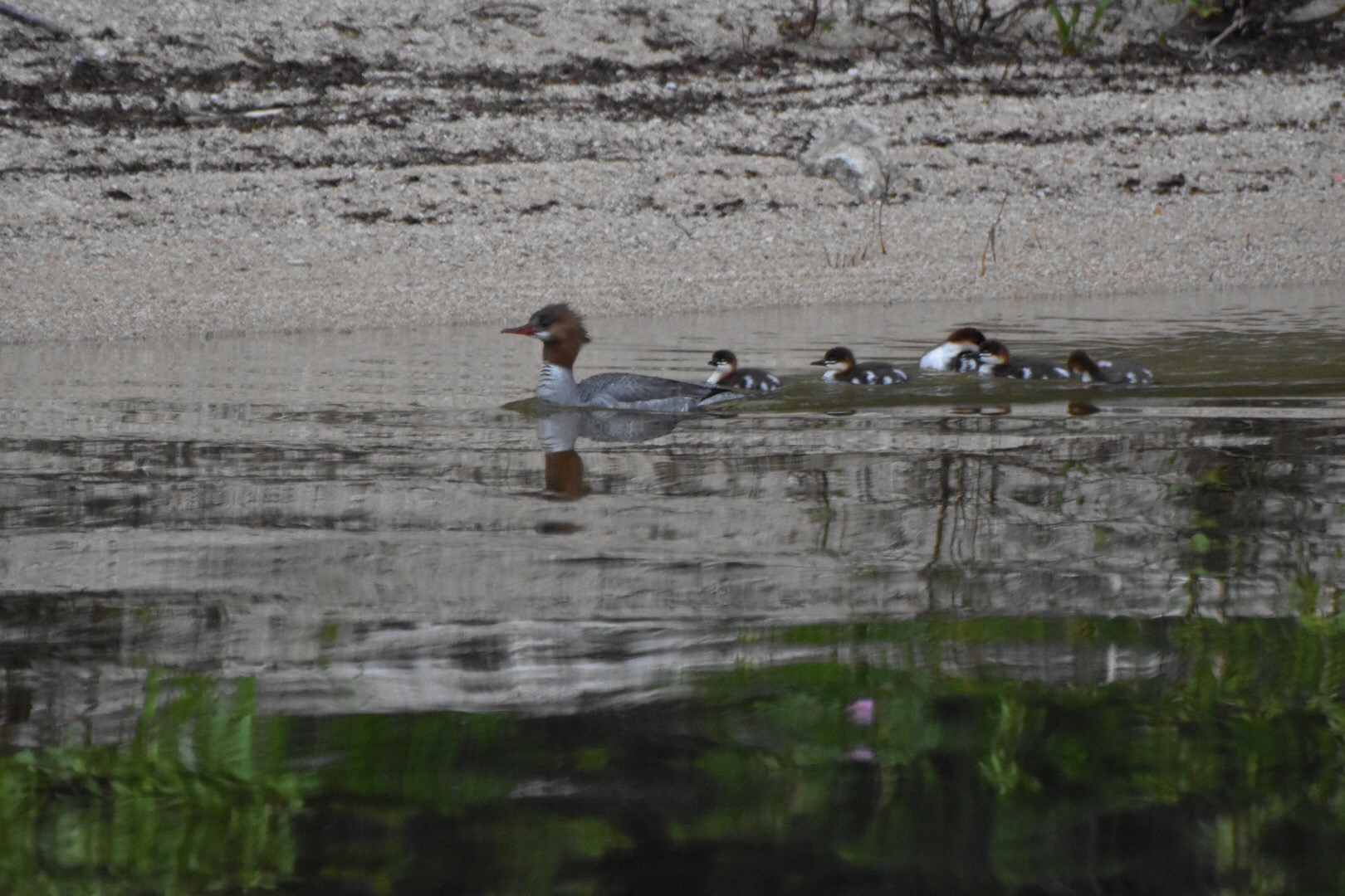 Geisinger Campground