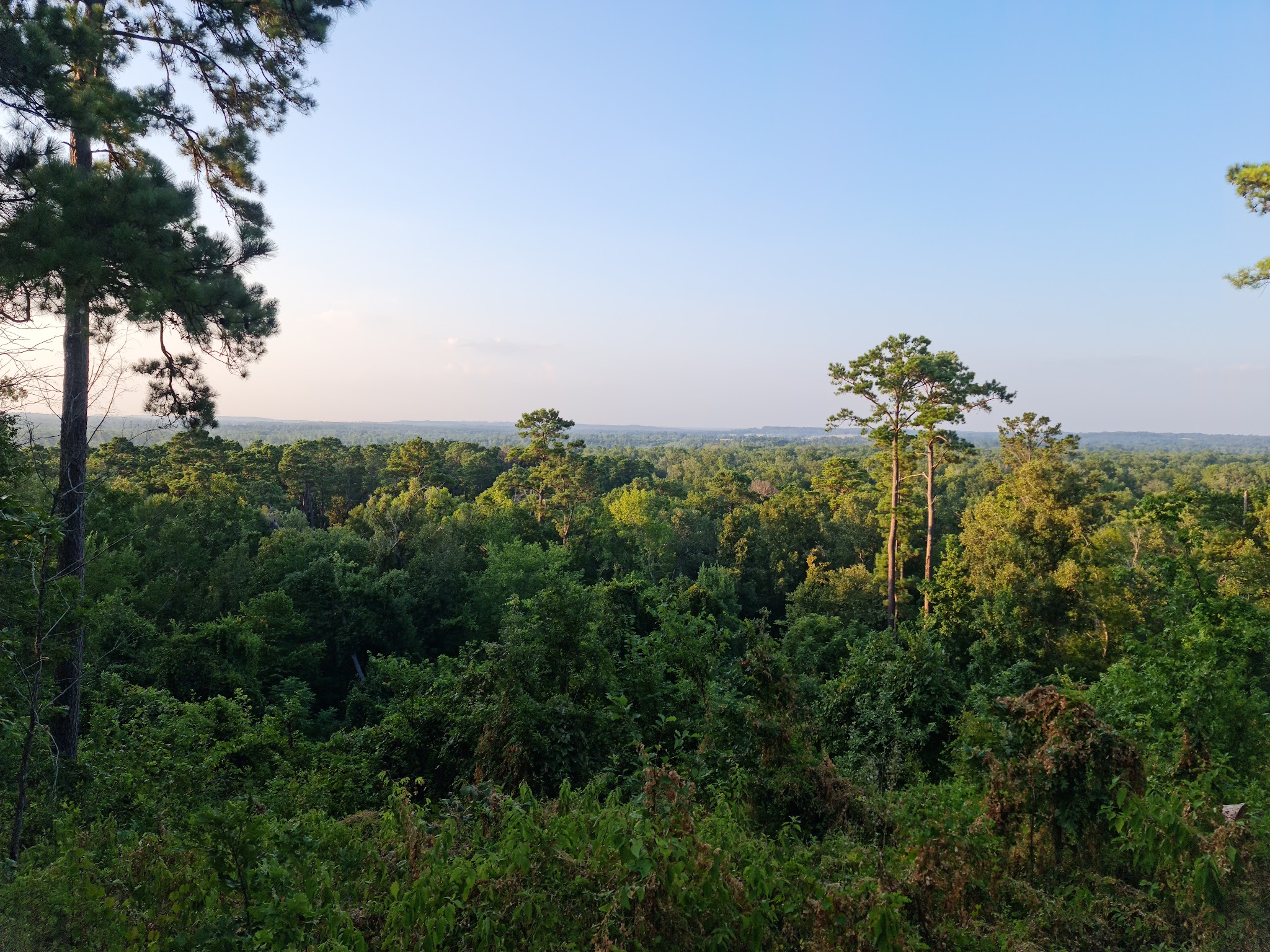 Neches Bluff Overlook: (936) 655-2299