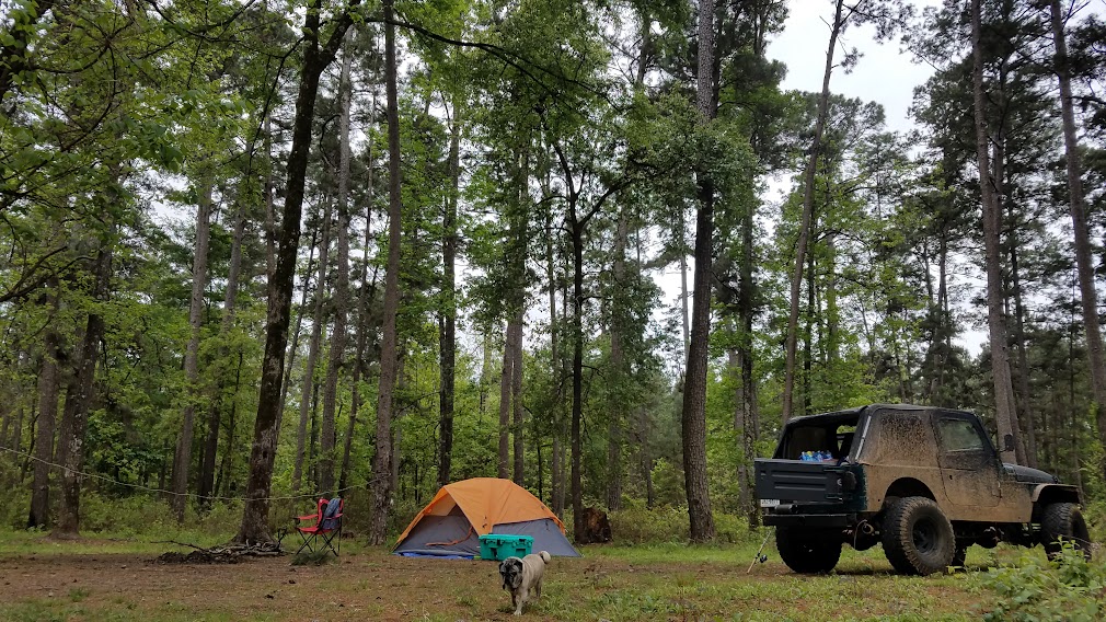 Neches Bluff Overlook: (936) 655-2299