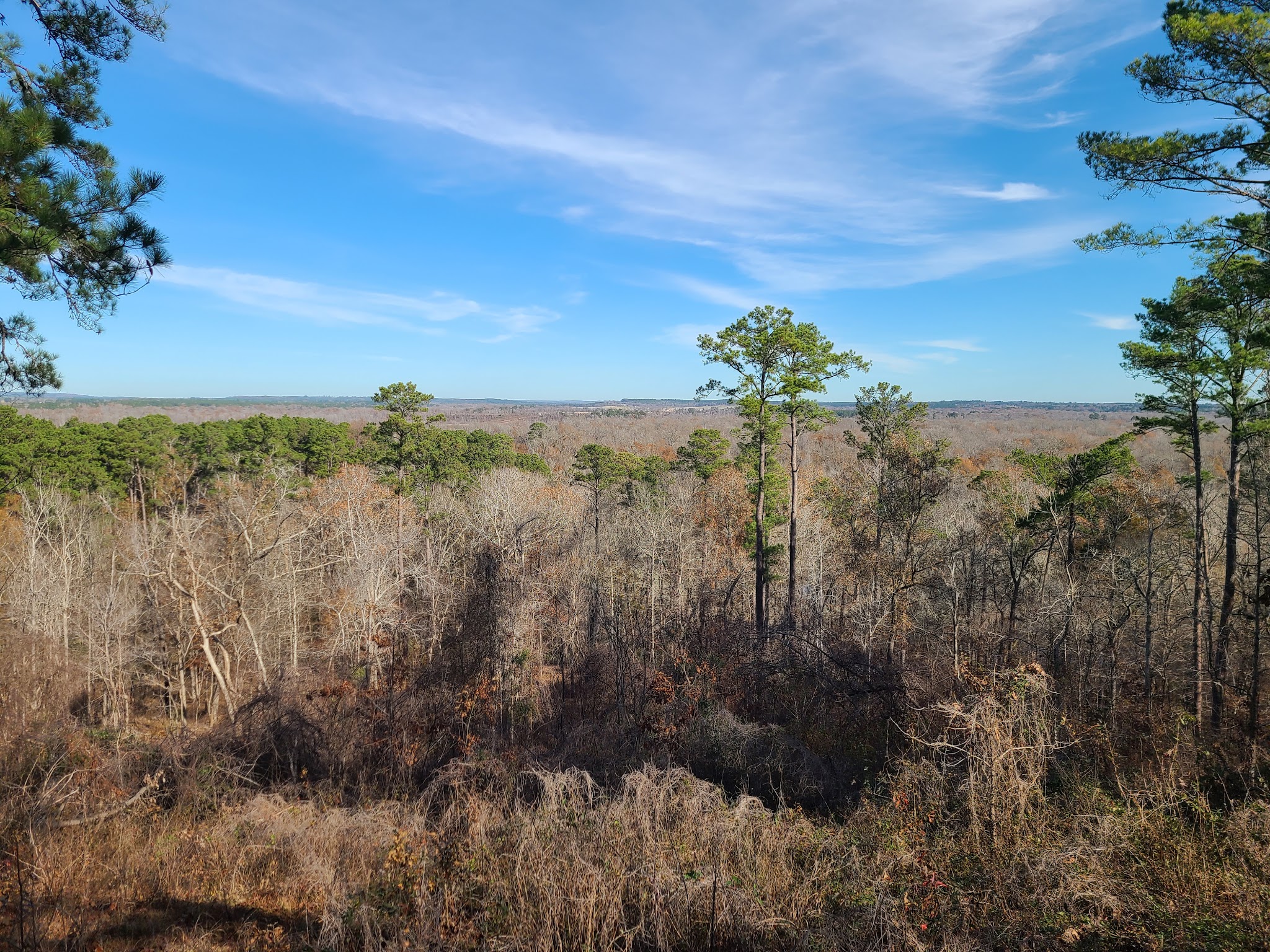 Neches Bluff Overlook: (936) 655-2299