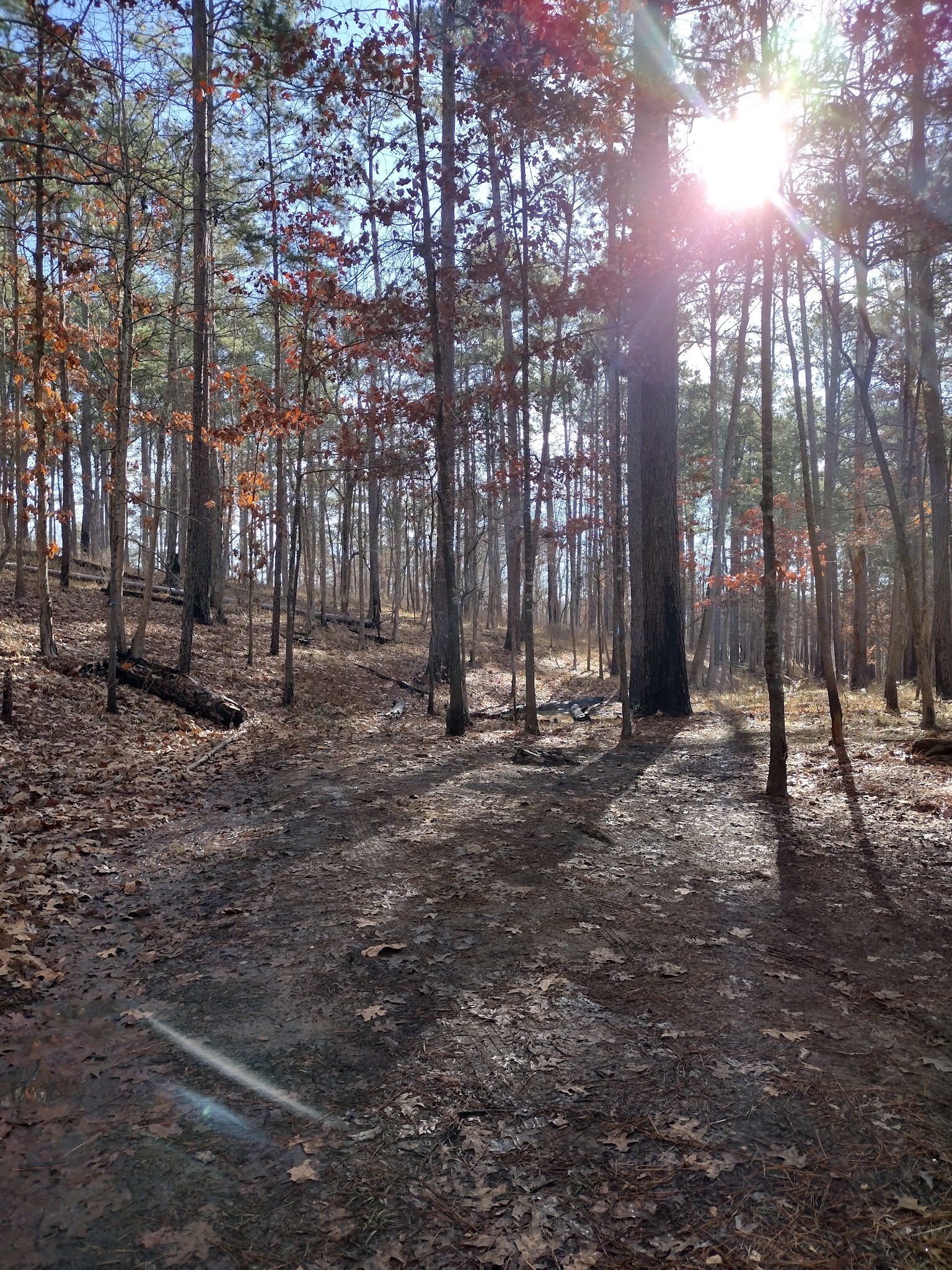 Neches Bluff Overlook: (936) 655-2299