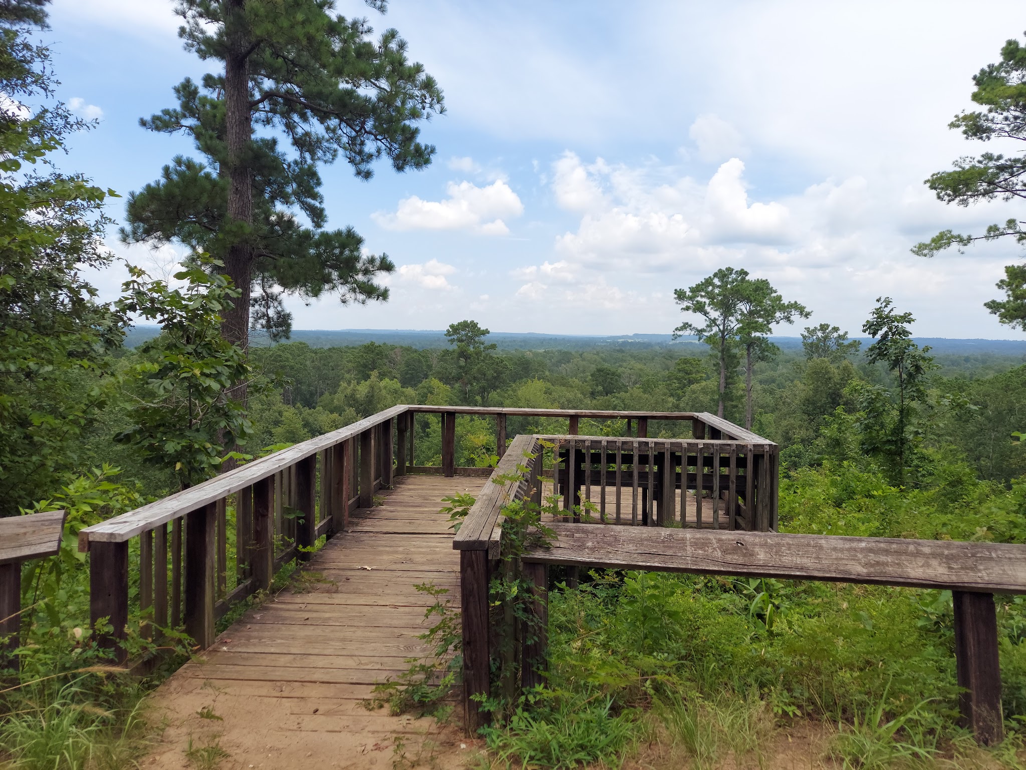 Neches Bluff Overlook: (936) 655-2299