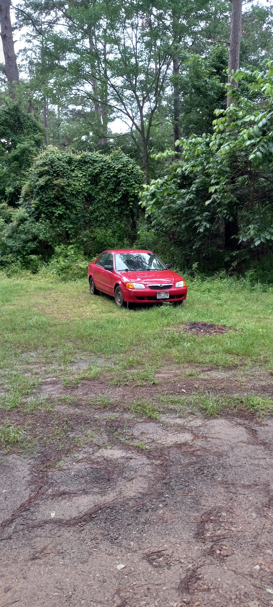 Neches Bluff Overlook: (936) 655-2299