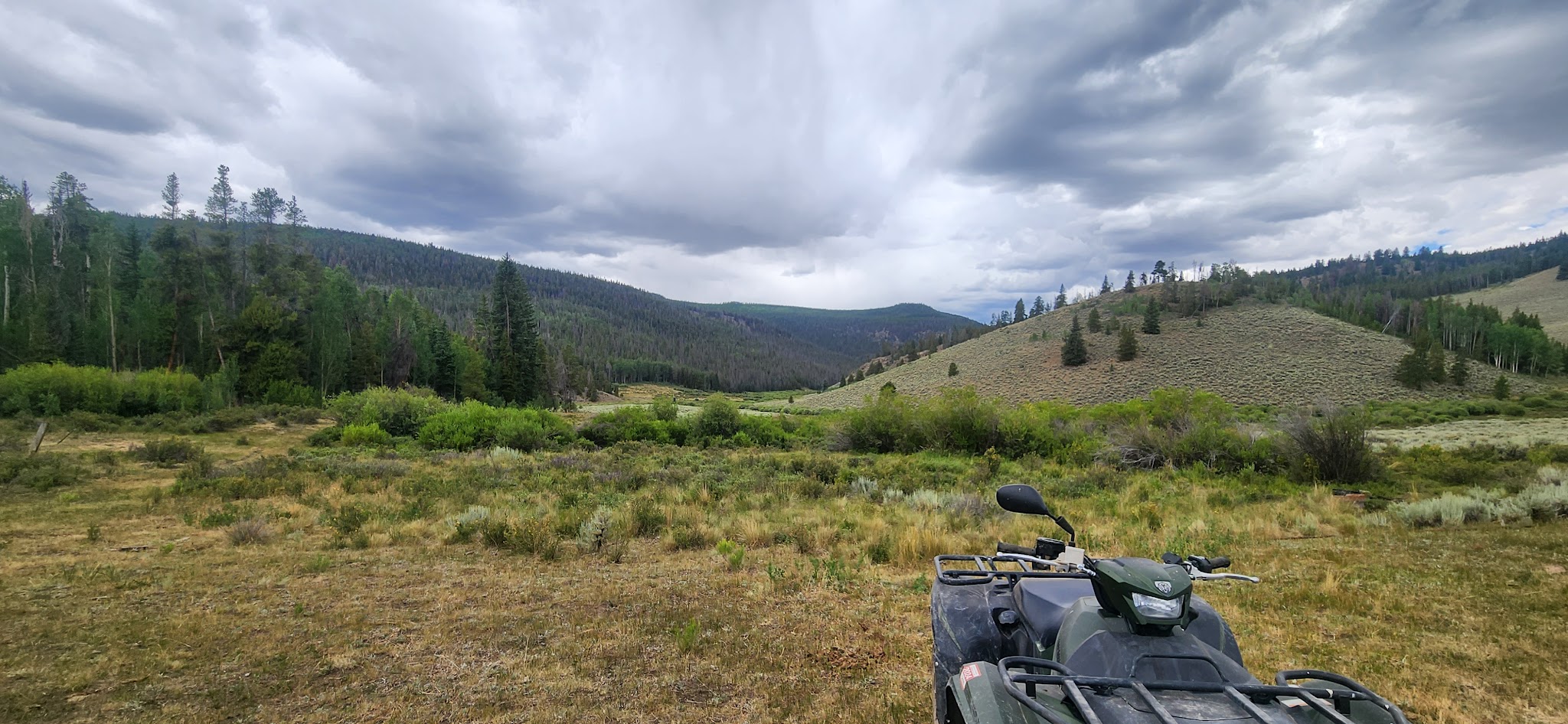 Needle Creek Reservoir Camping Area