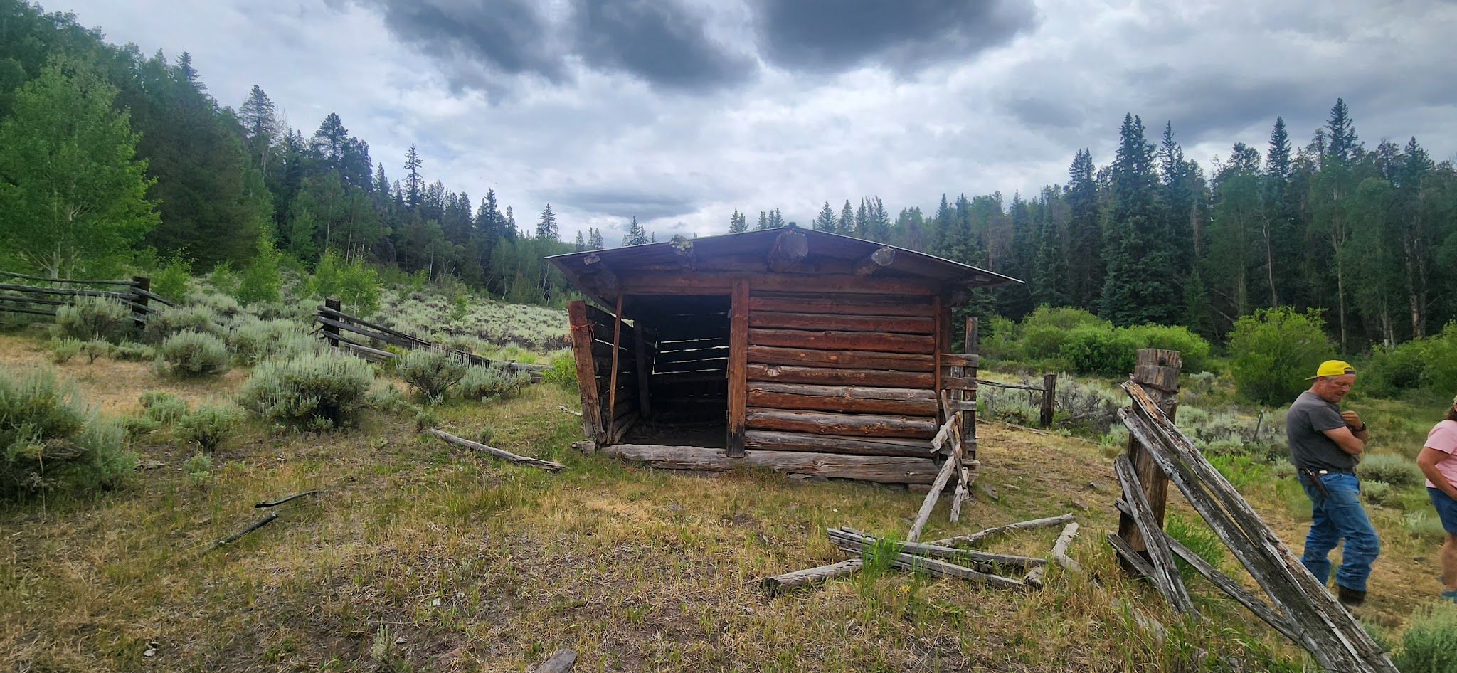 Needle Creek Reservoir Camping Area