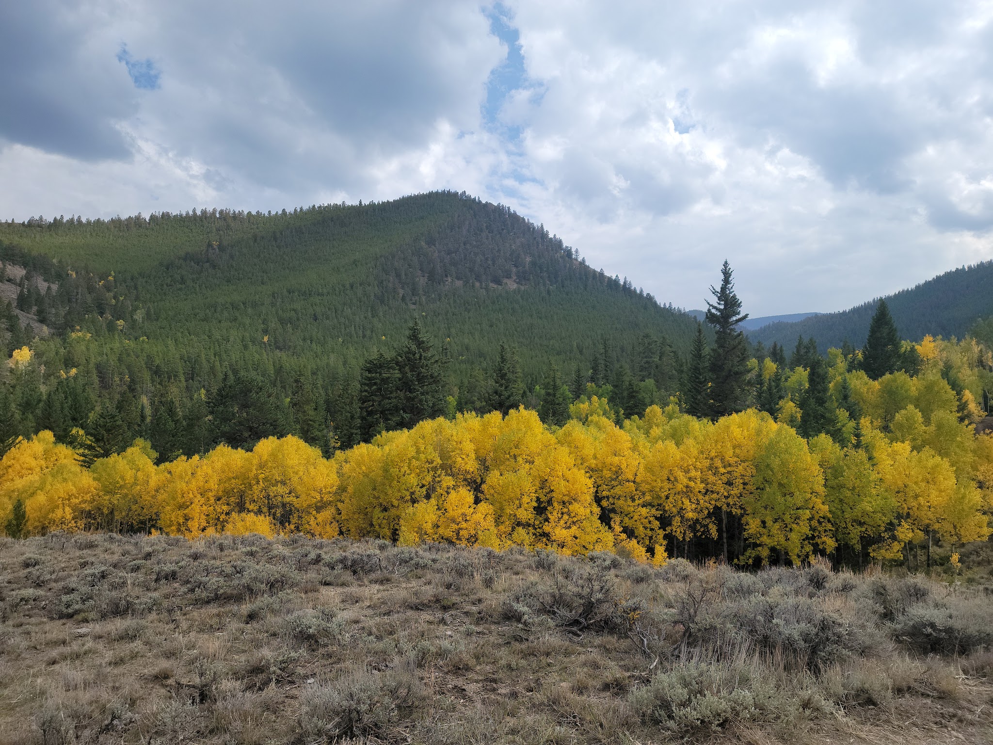 Needle Creek Reservoir Camping Area