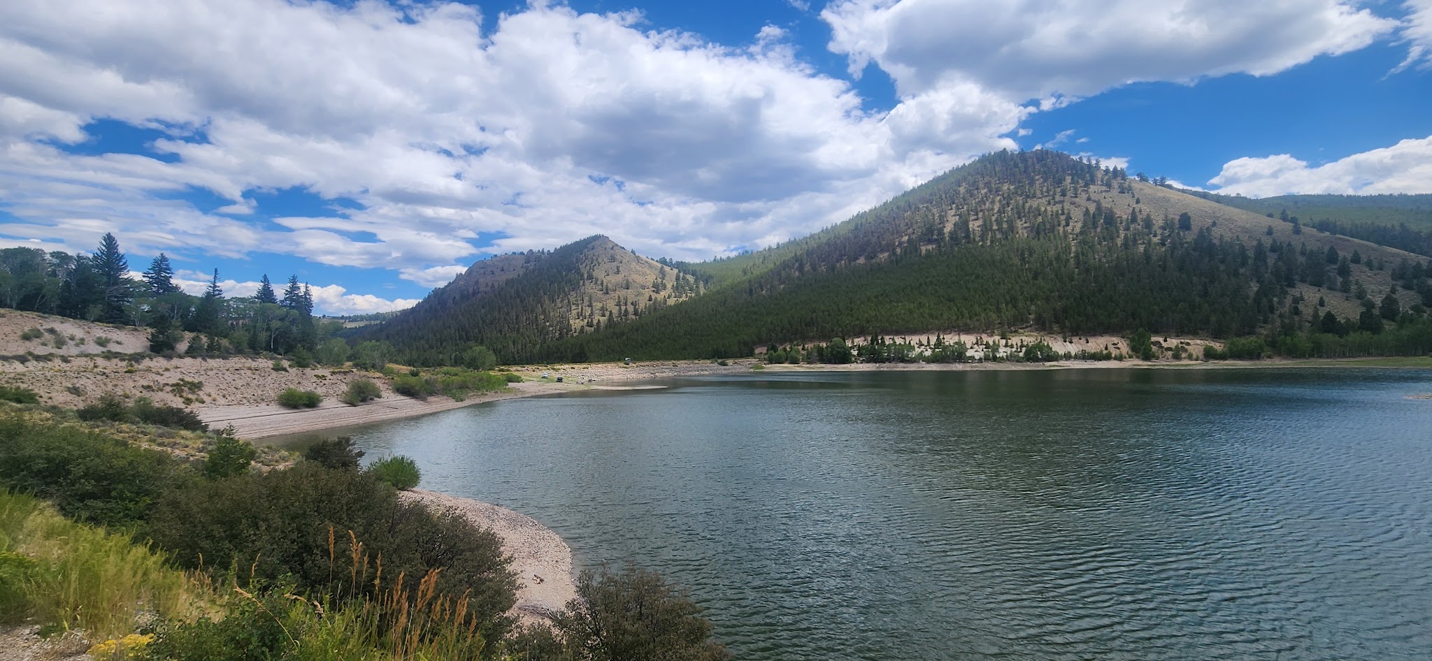 Needle Creek Reservoir Camping Area