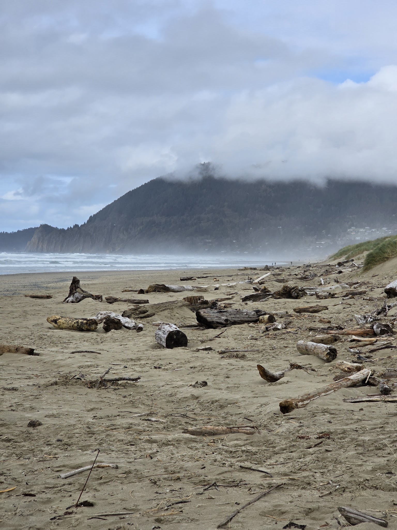 Nehalem Bay State Park