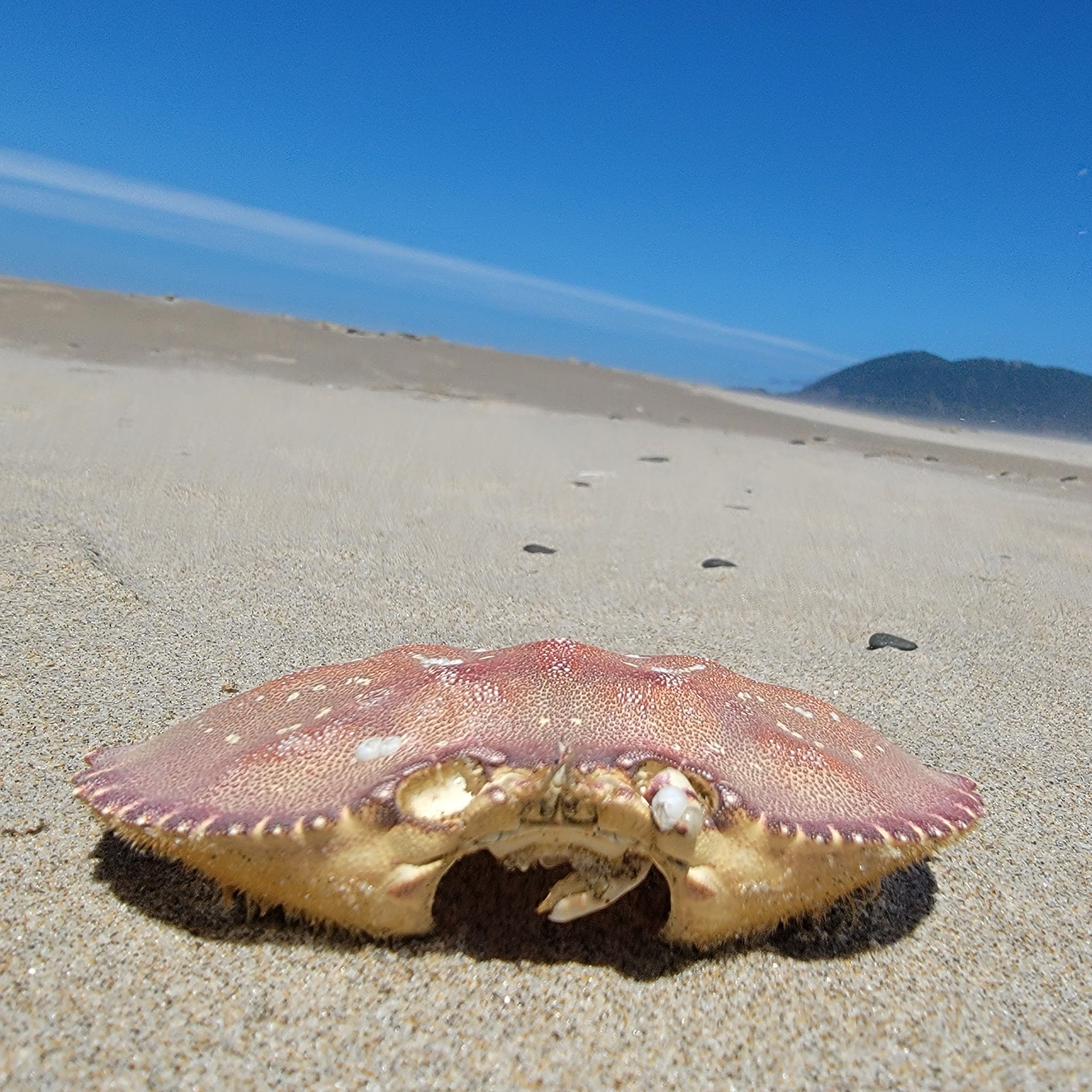 Nehalem Bay State Park