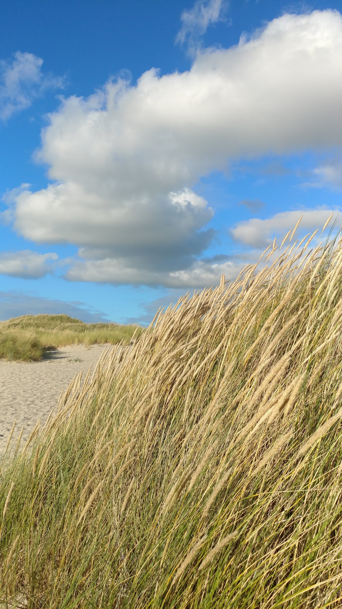Nehalem Bay State Park