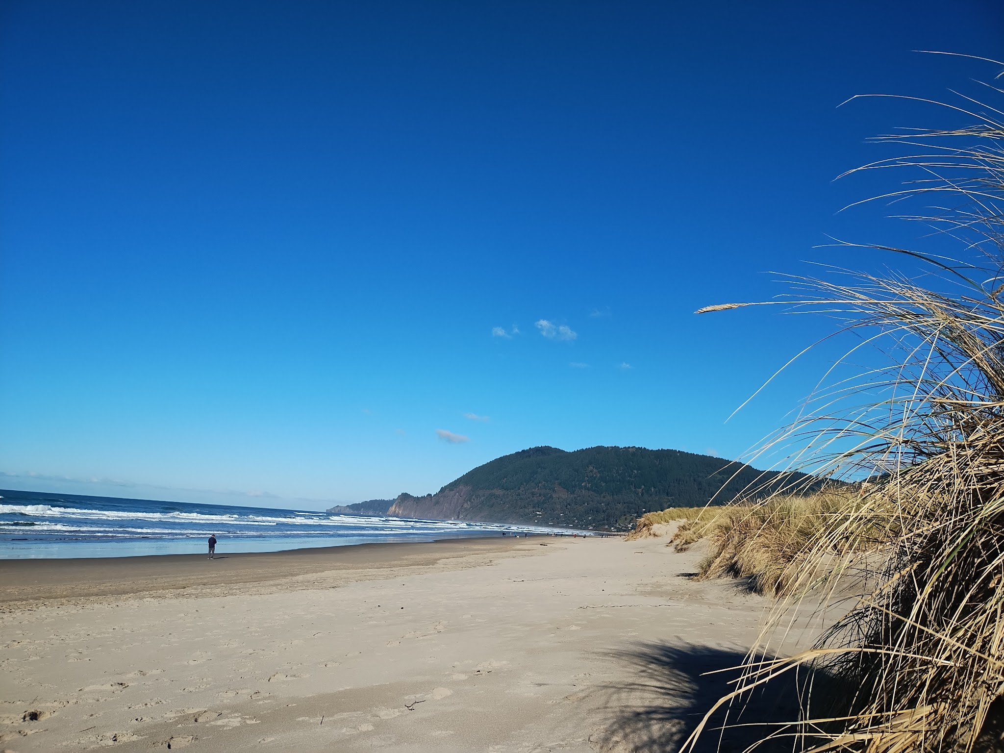 Nehalem Bay State Park
