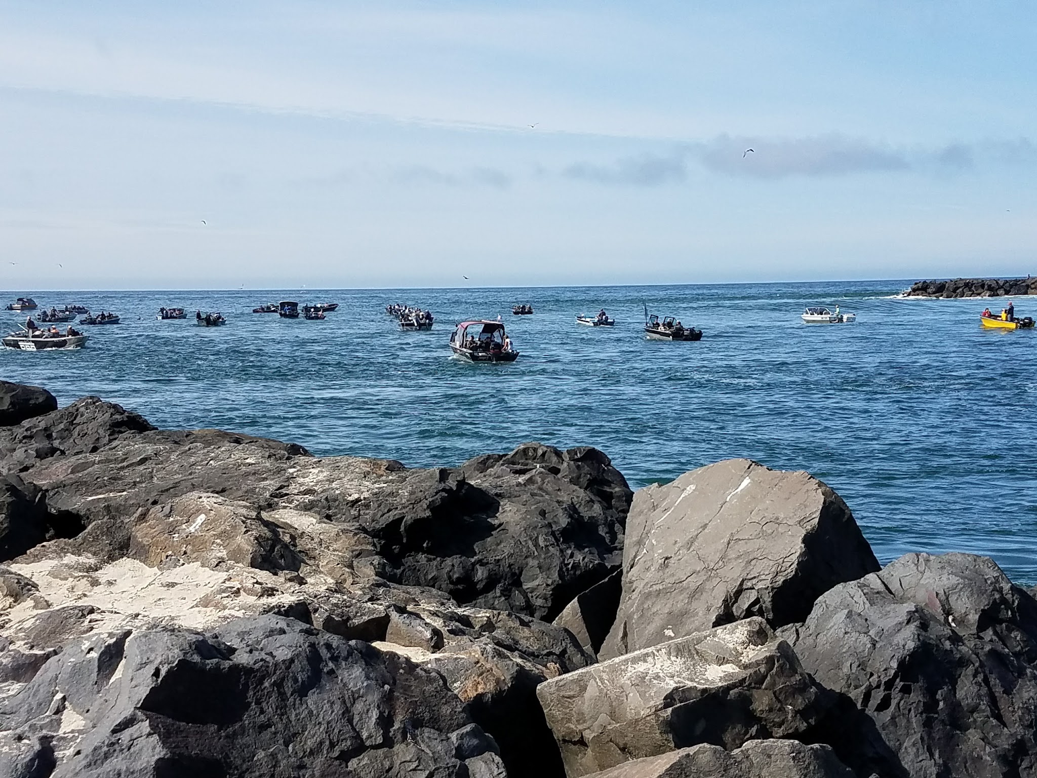 Nehalem Bay State Park