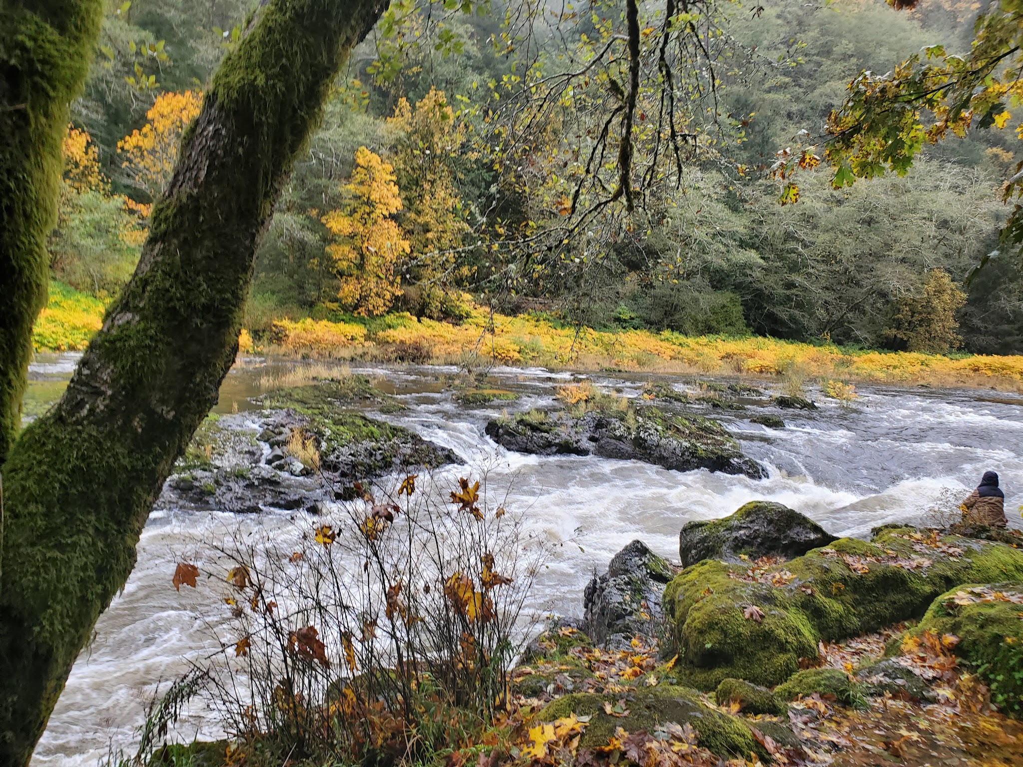 Nehalem Falls Campground
