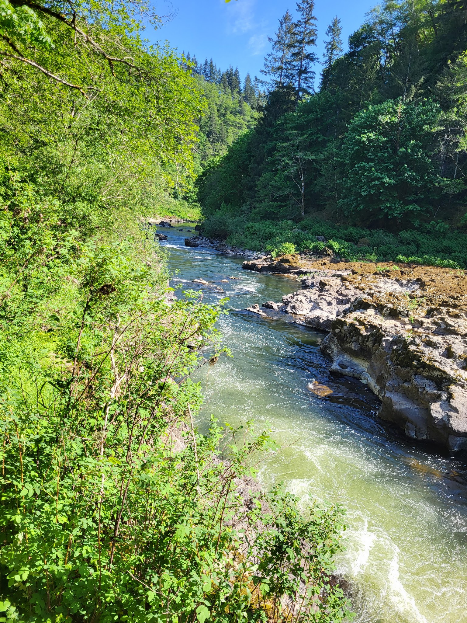 Nehalem Falls Campground
