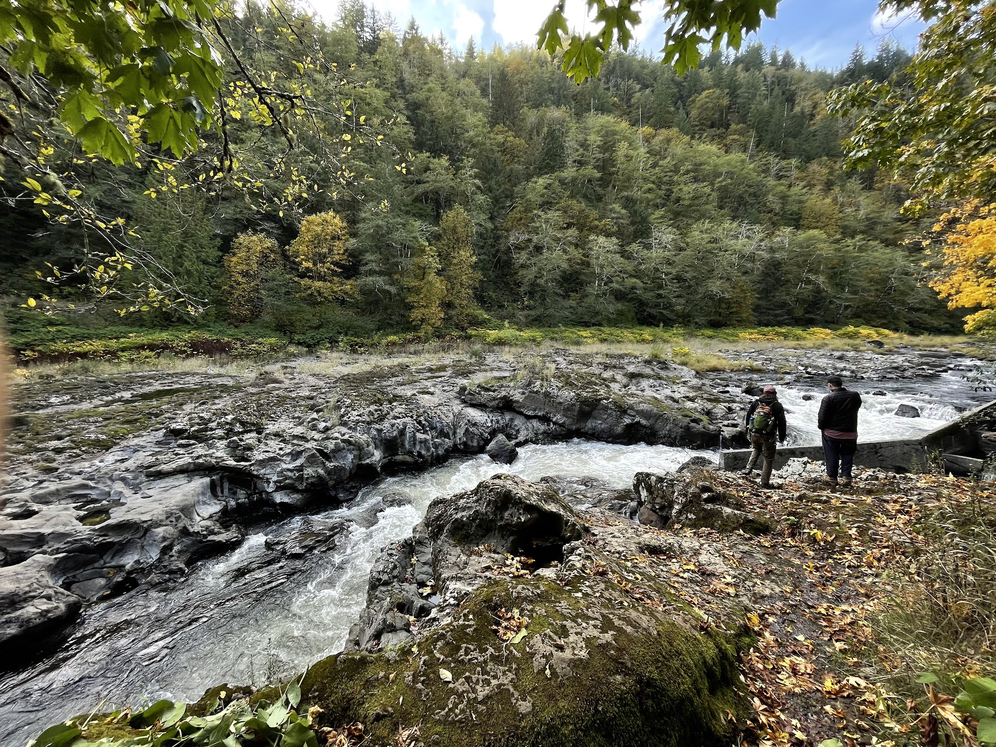 Nehalem Falls Campground