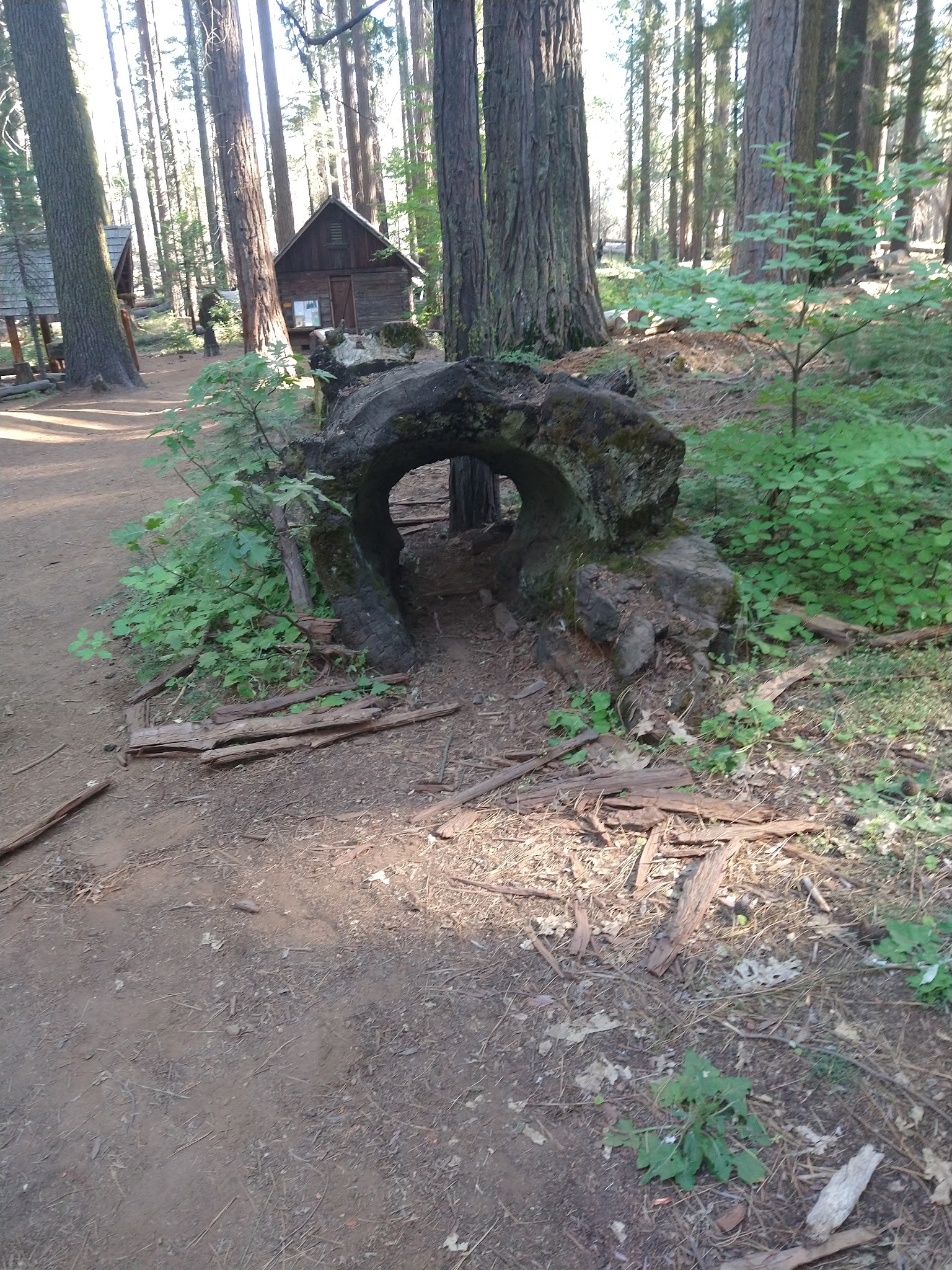 Nelder Grove Campground