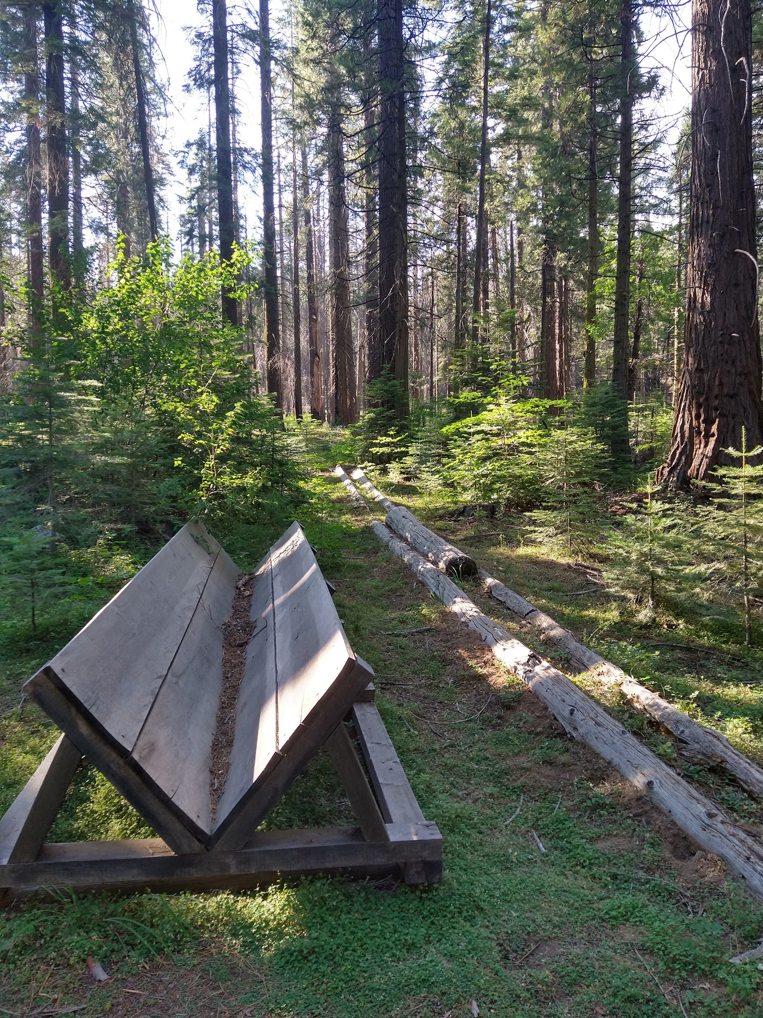 Nelder Grove Campground