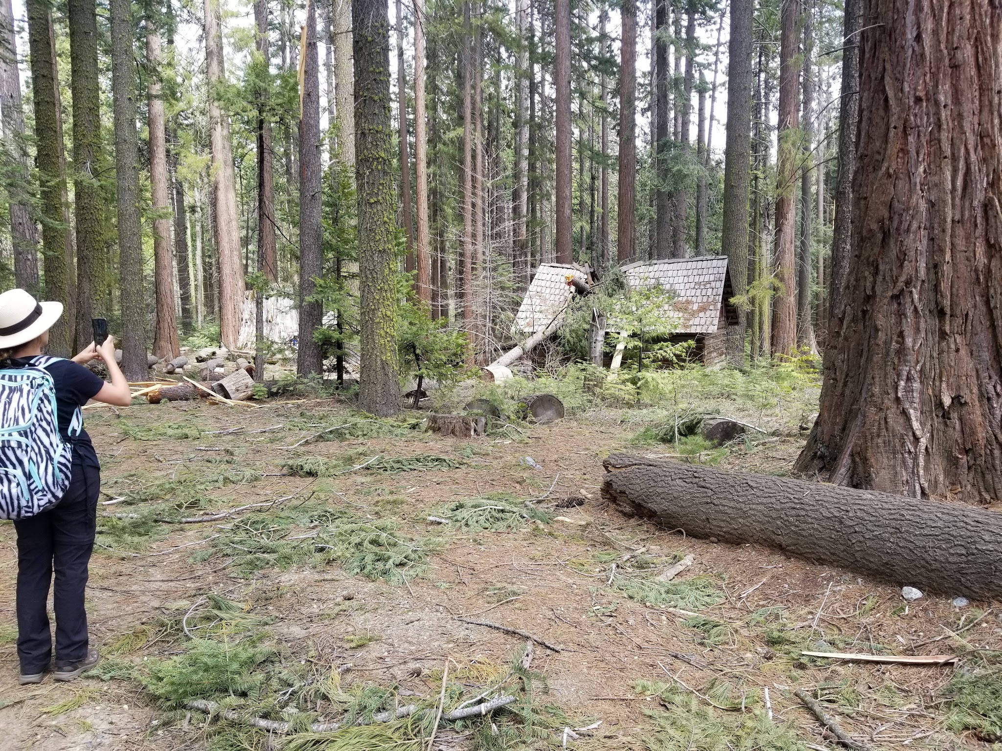 Nelder Grove Campground