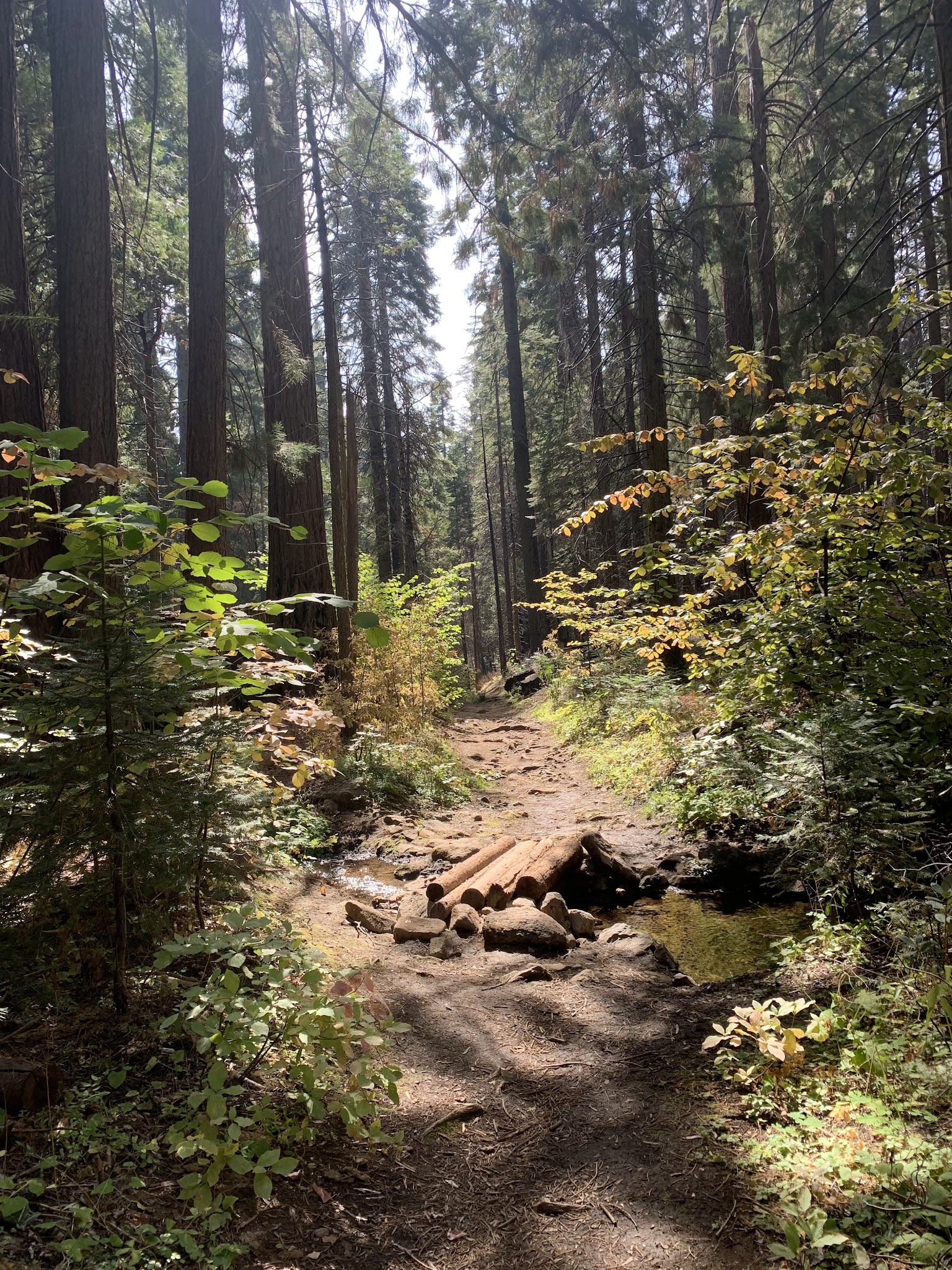 Nelder Grove Campground