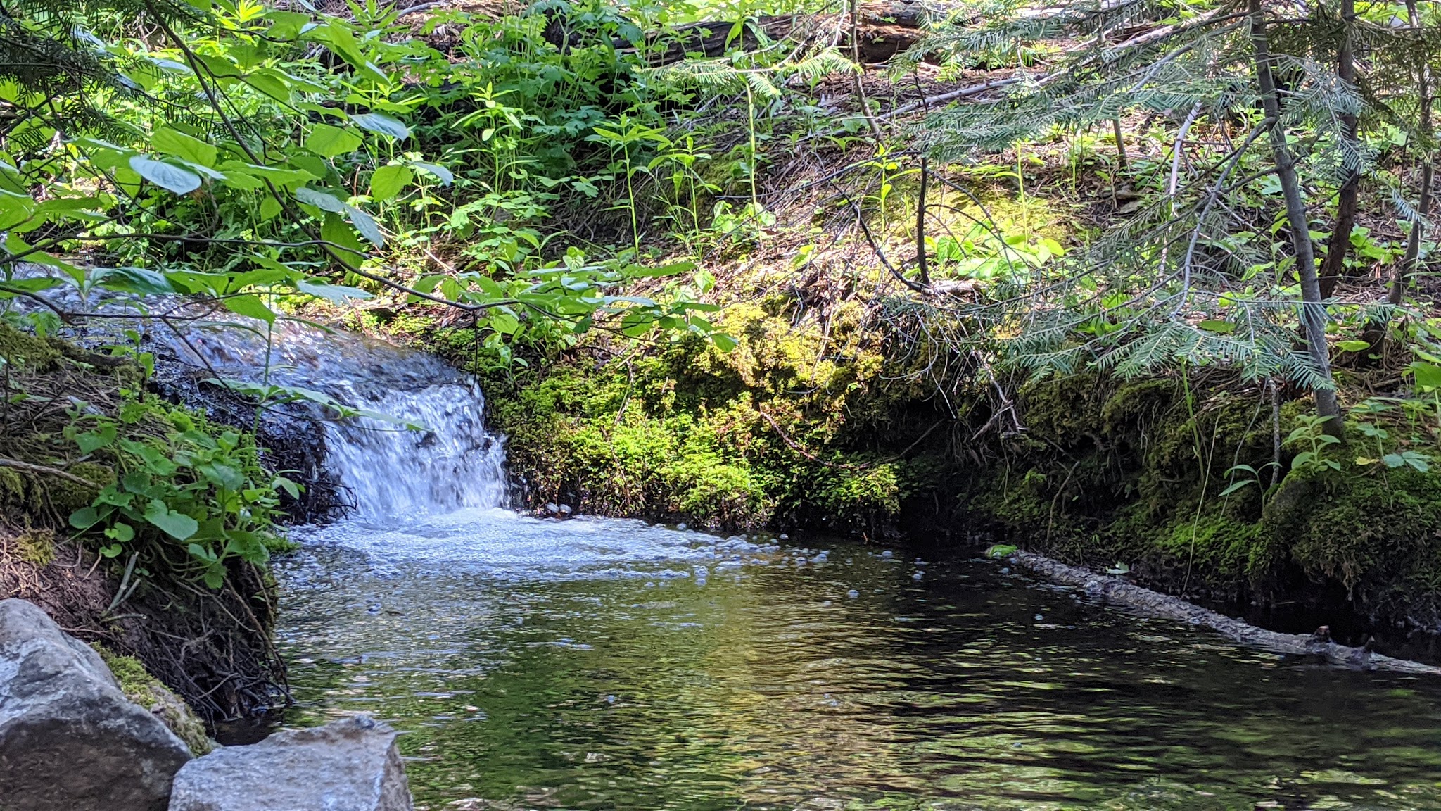 Nelder Grove Campground