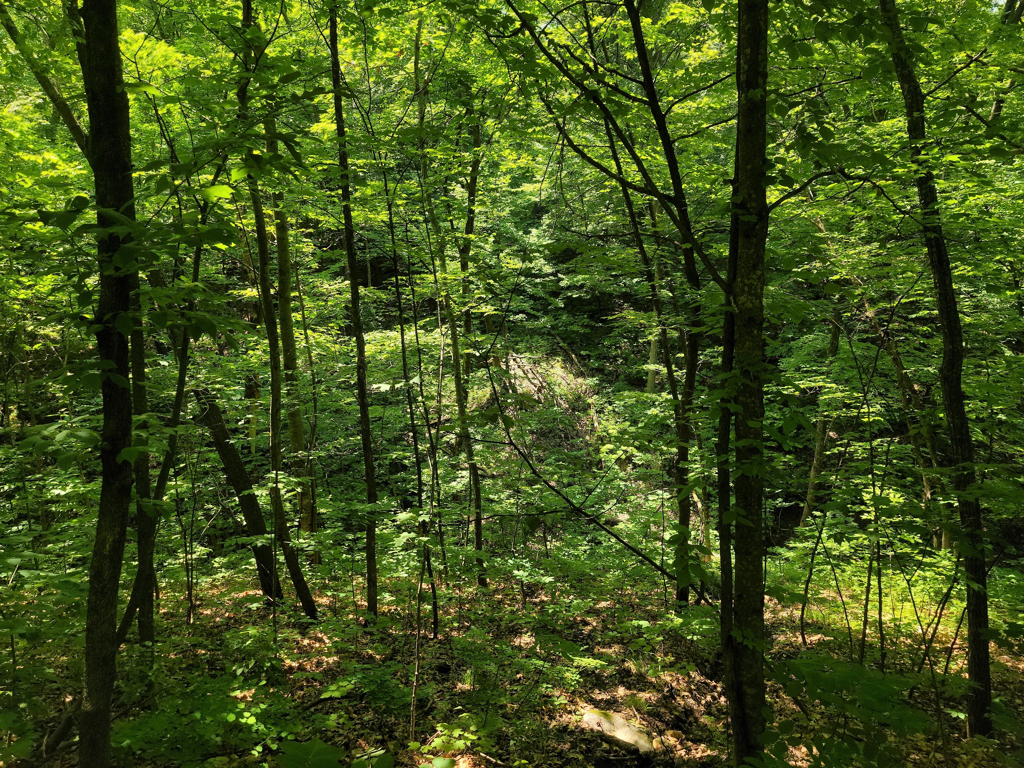 Nerstrand Campground