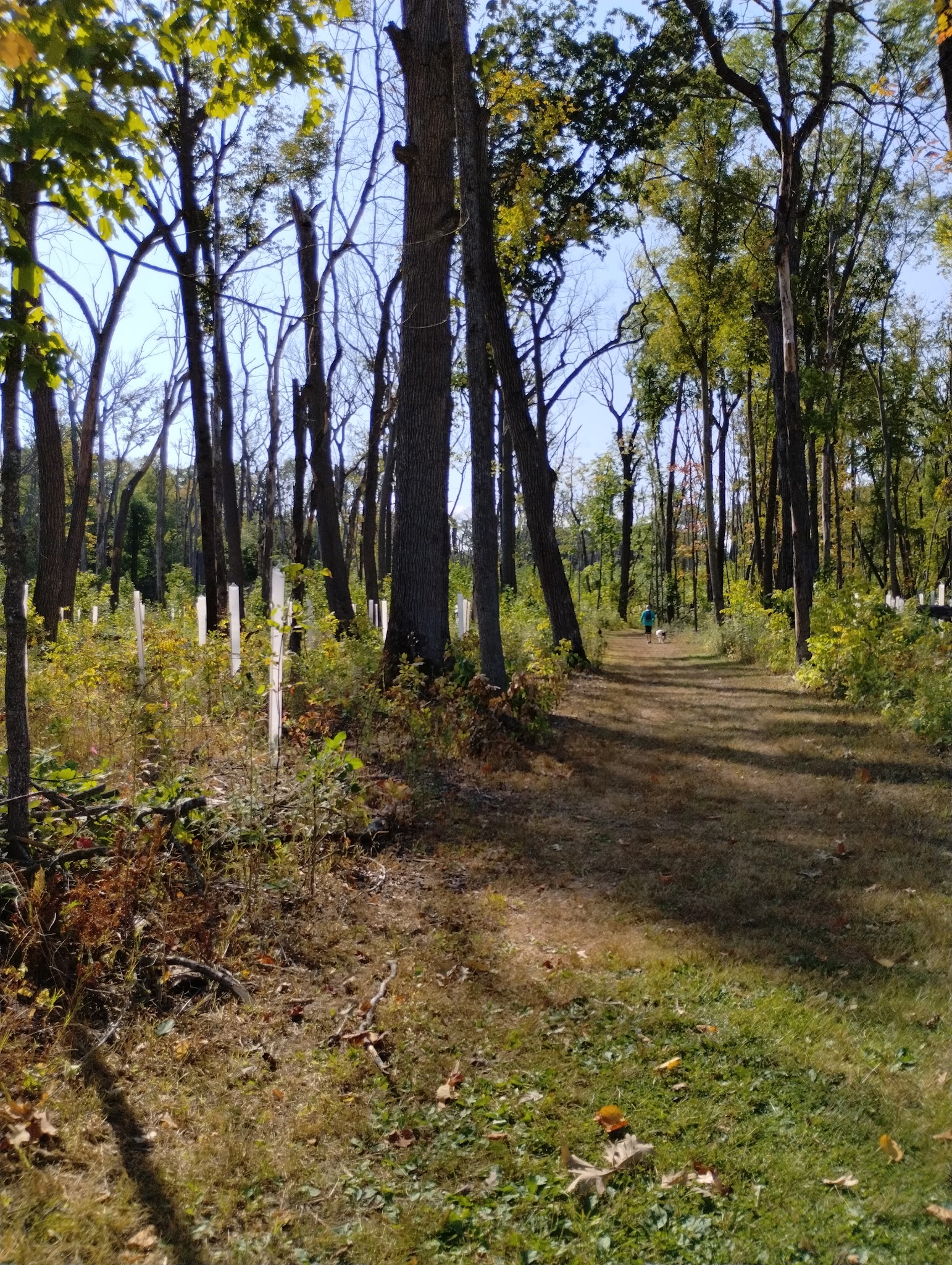 Nerstrand Campground