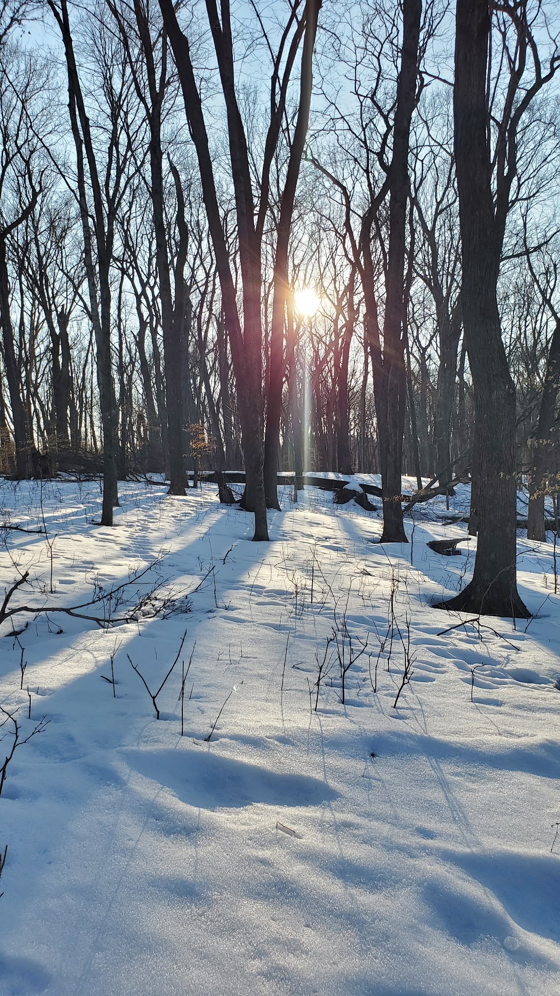 Nerstrand Campground