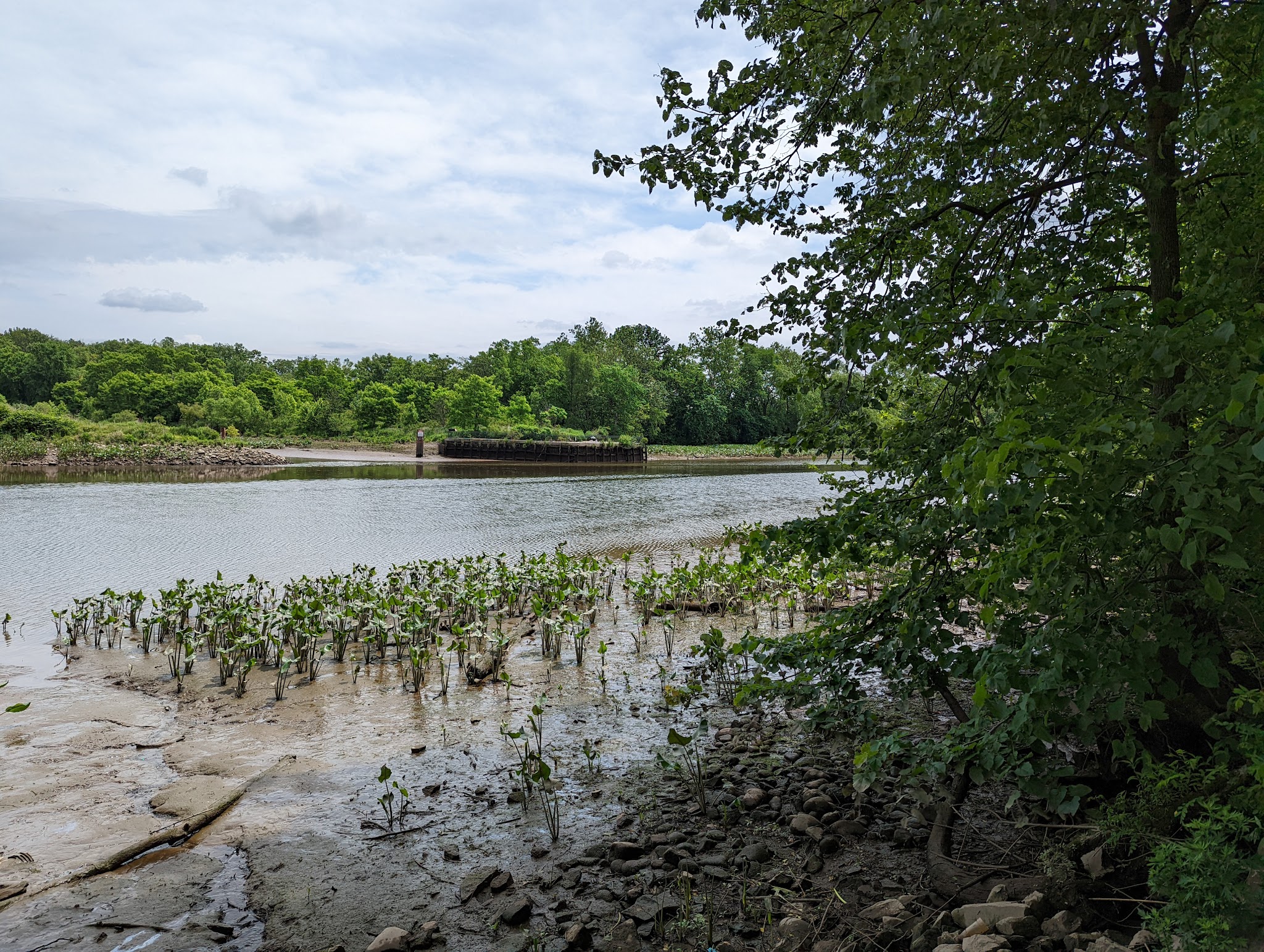 Neshaminy State Park