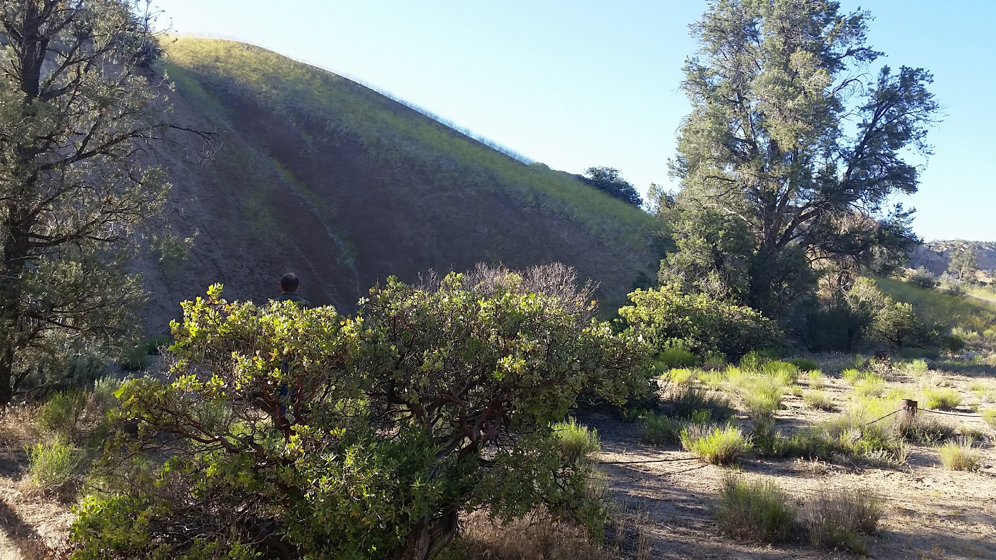 Nettle Springs Campground