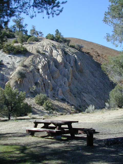 Nettle Springs Campground