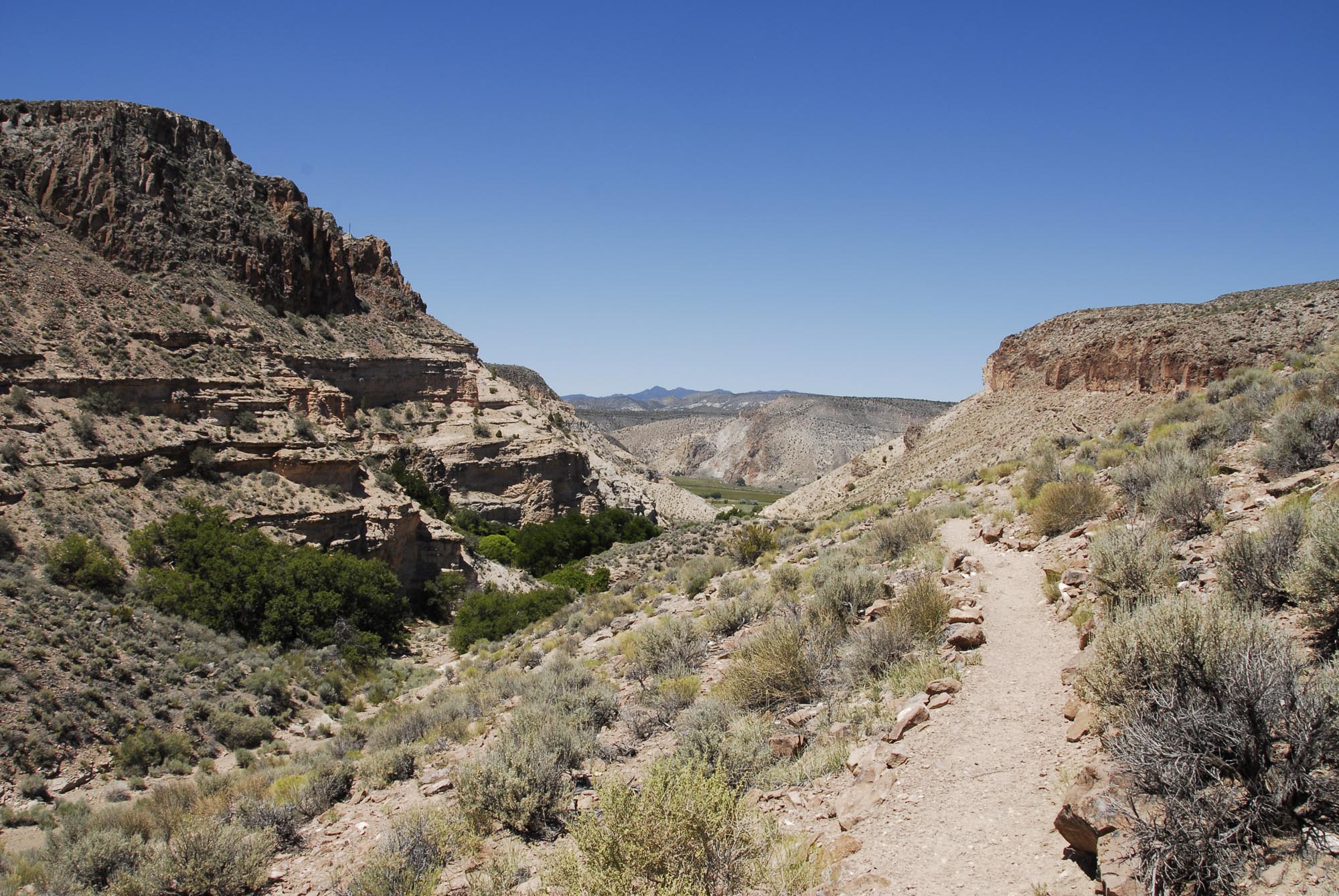Kershaw-Ryan Campground