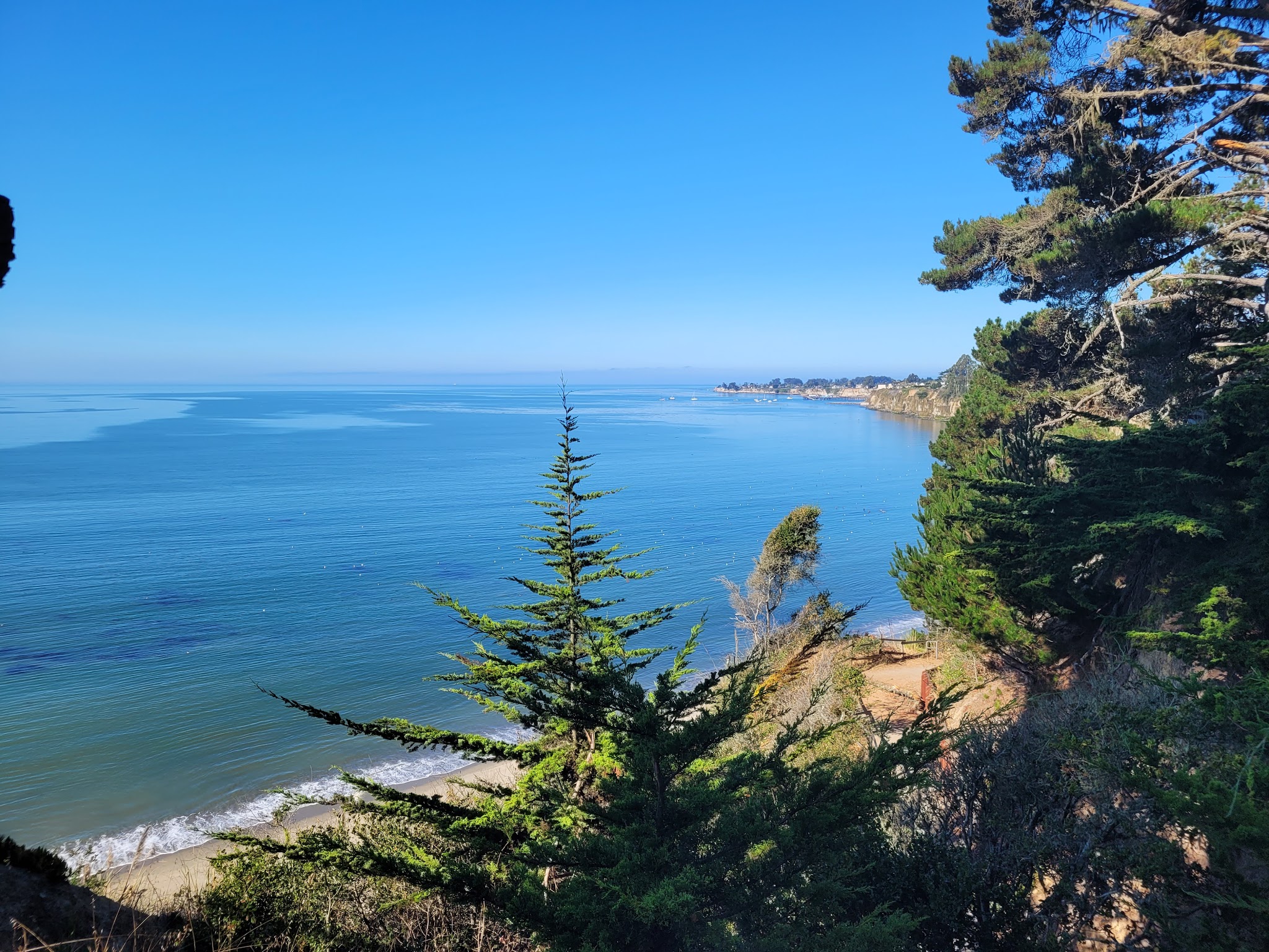 New Brighton State Beach Campground